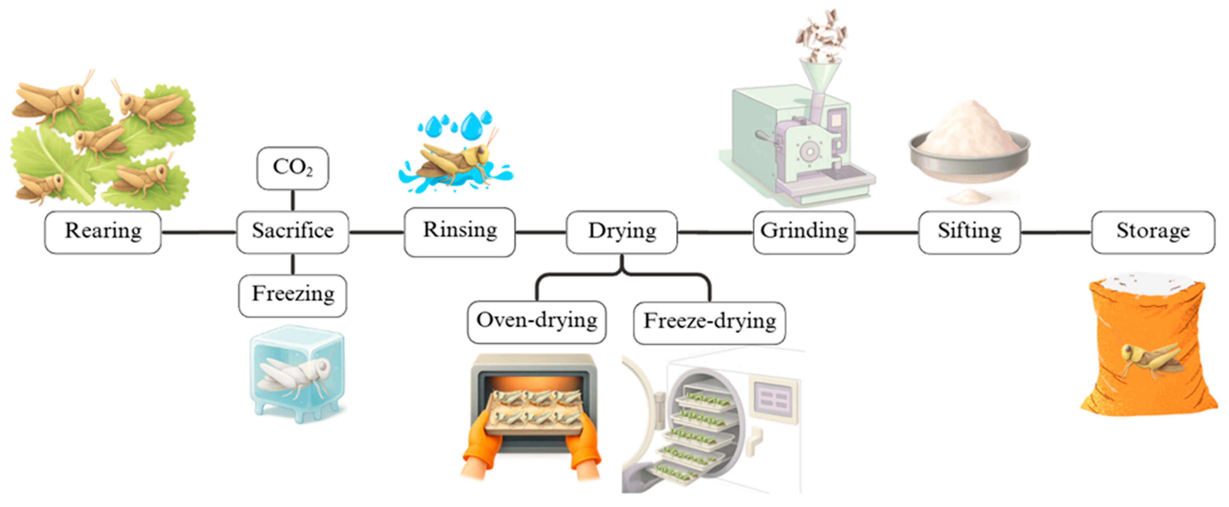 Applsci 15 11279 g003 Applsci 15 11279 g003