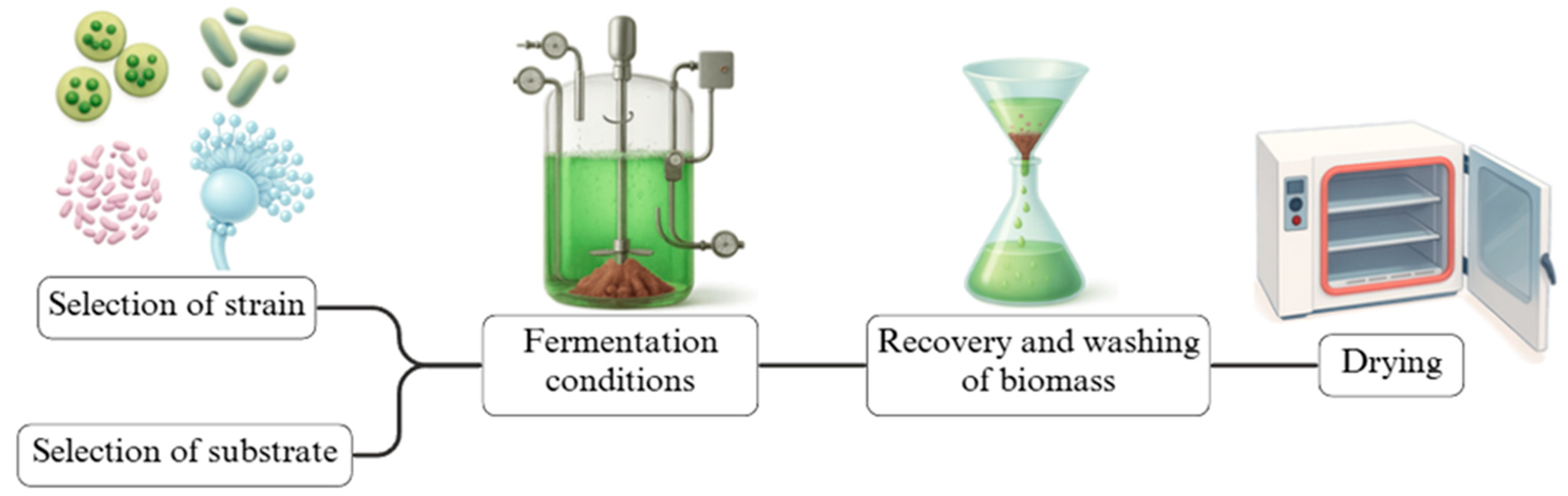 Applsci 15 11279 g004 Applsci 15 11279 g004