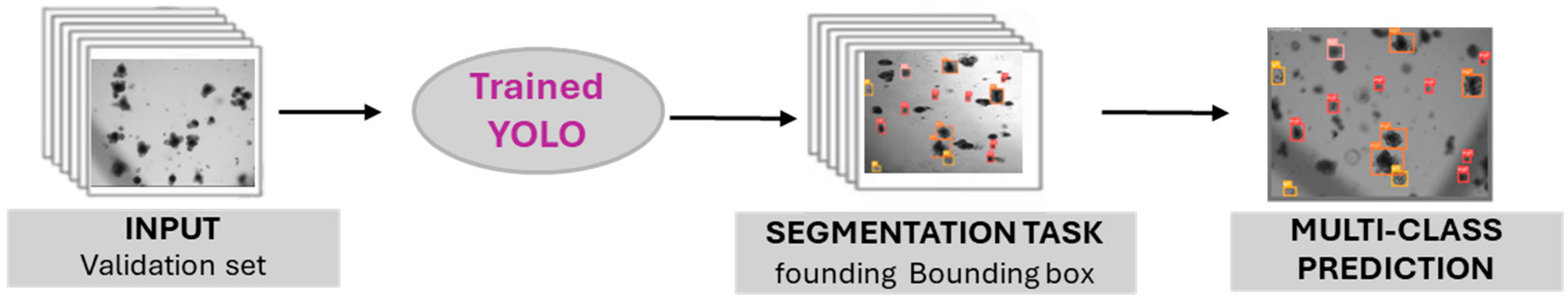 Applsci 15 11311 g001 Applsci 15 11311 g001