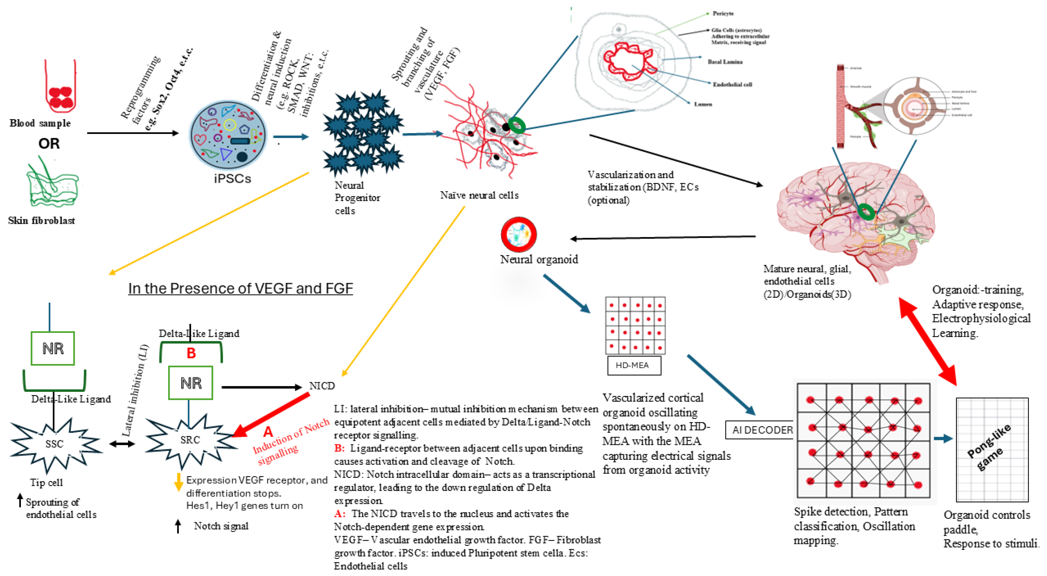 Applsci 15 11316 g001 Applsci 15 11316 g001