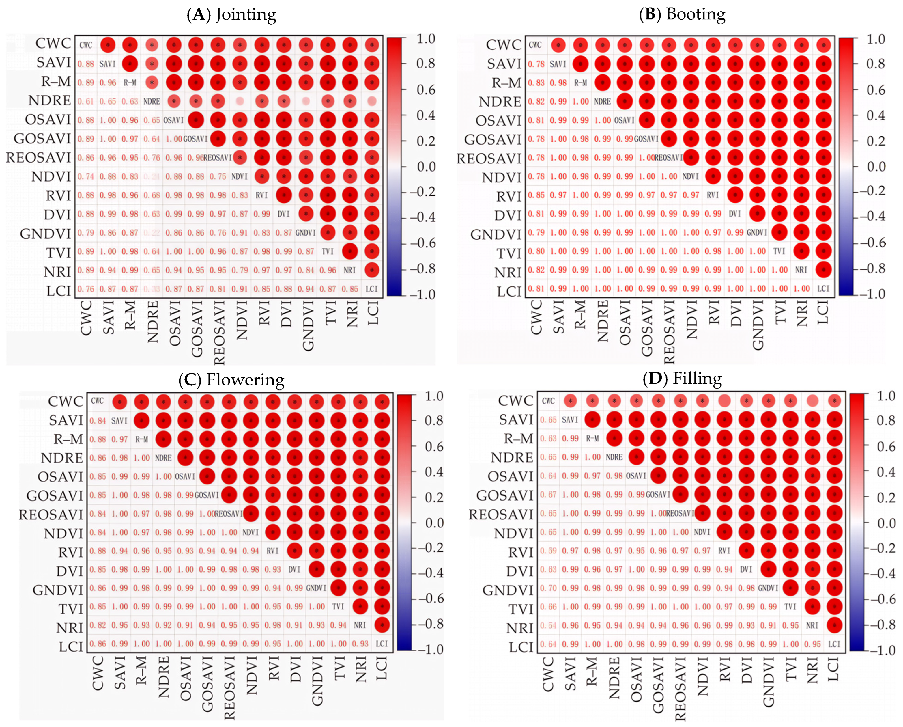 Applsci 15 11363 g004 Applsci 15 11363 g004