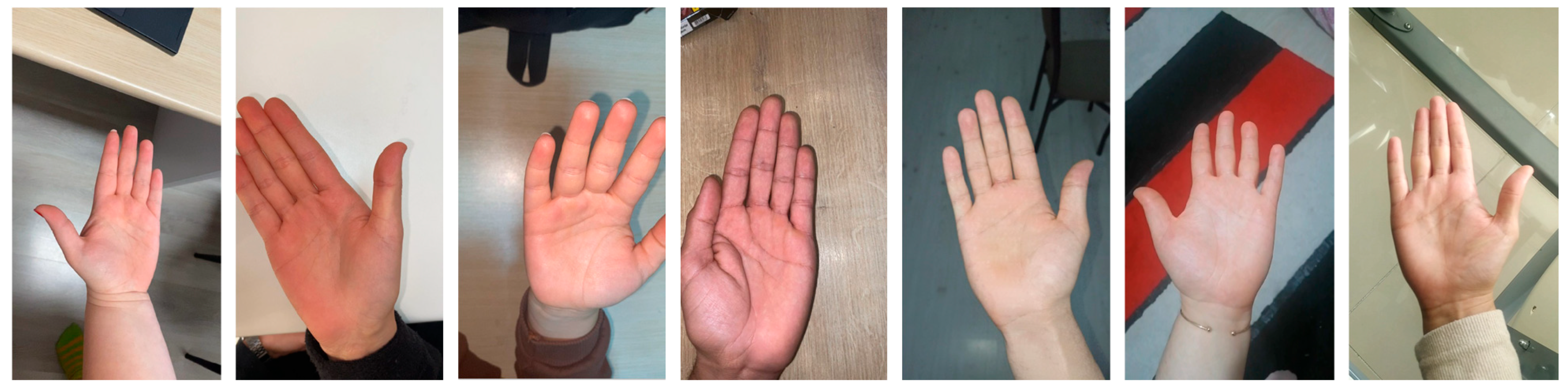 Applsci 15 11368 g002