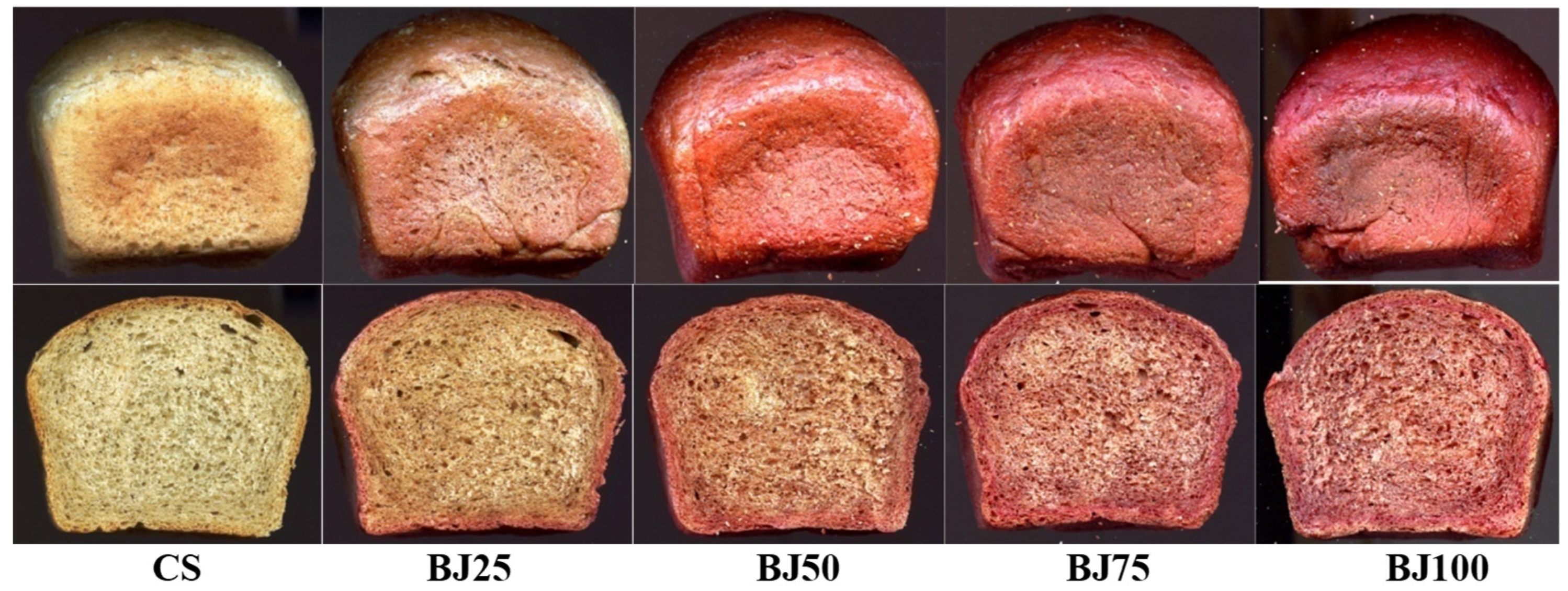 Applsci 15 11408 g002 Applsci 15 11408 g002
