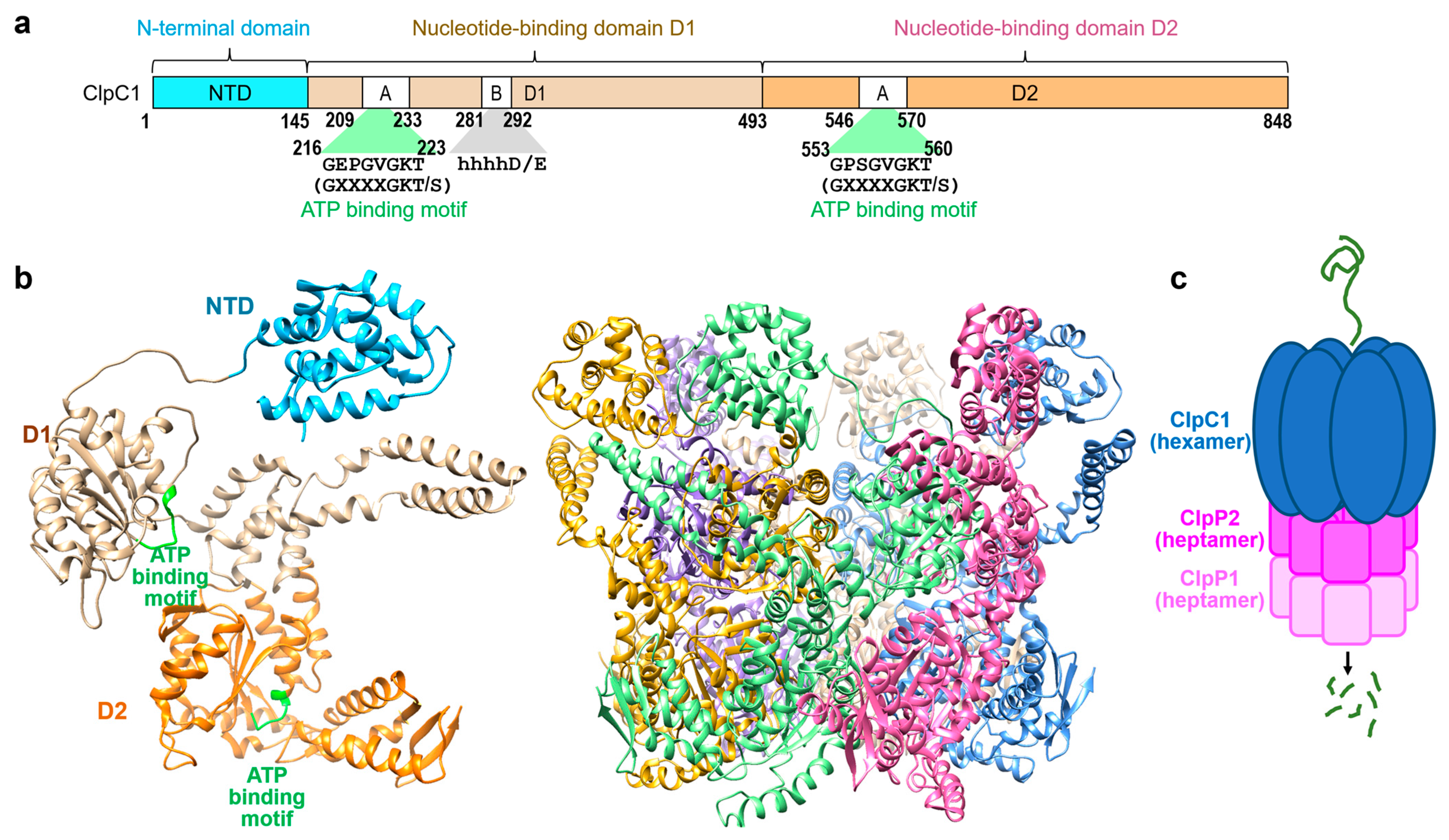Applsci 15 11425 g001