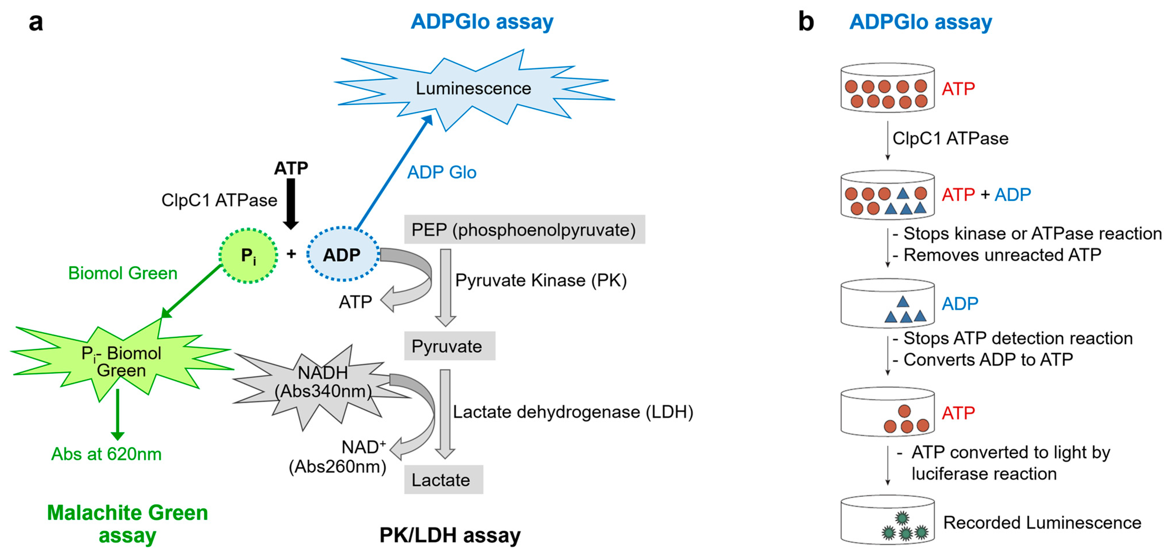 Applsci 15 11425 g002