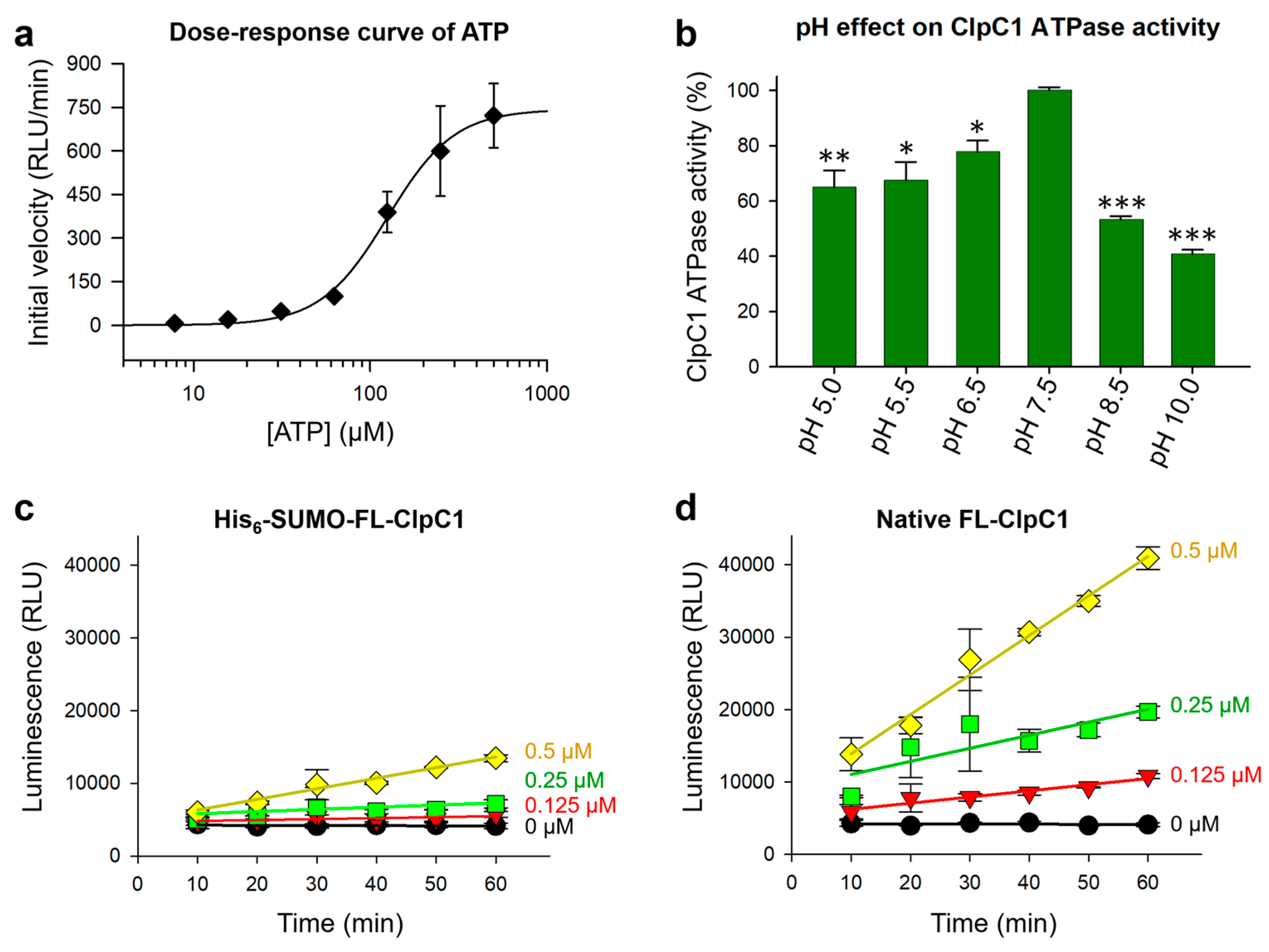 Applsci 15 11425 g004