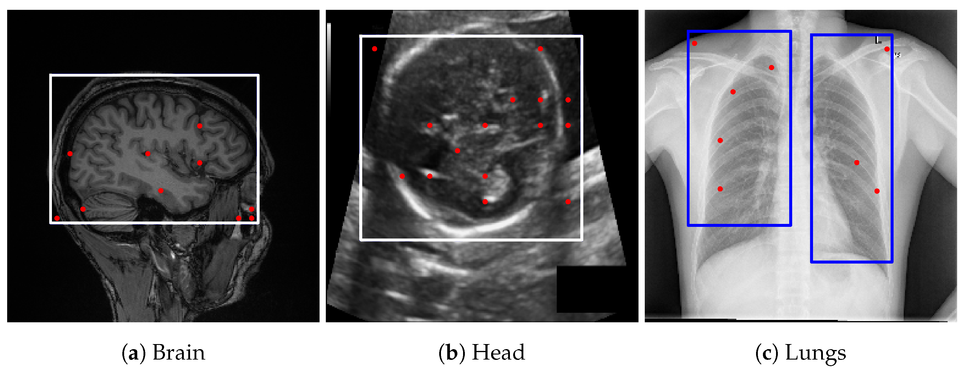 Applsci 15 11441 g003