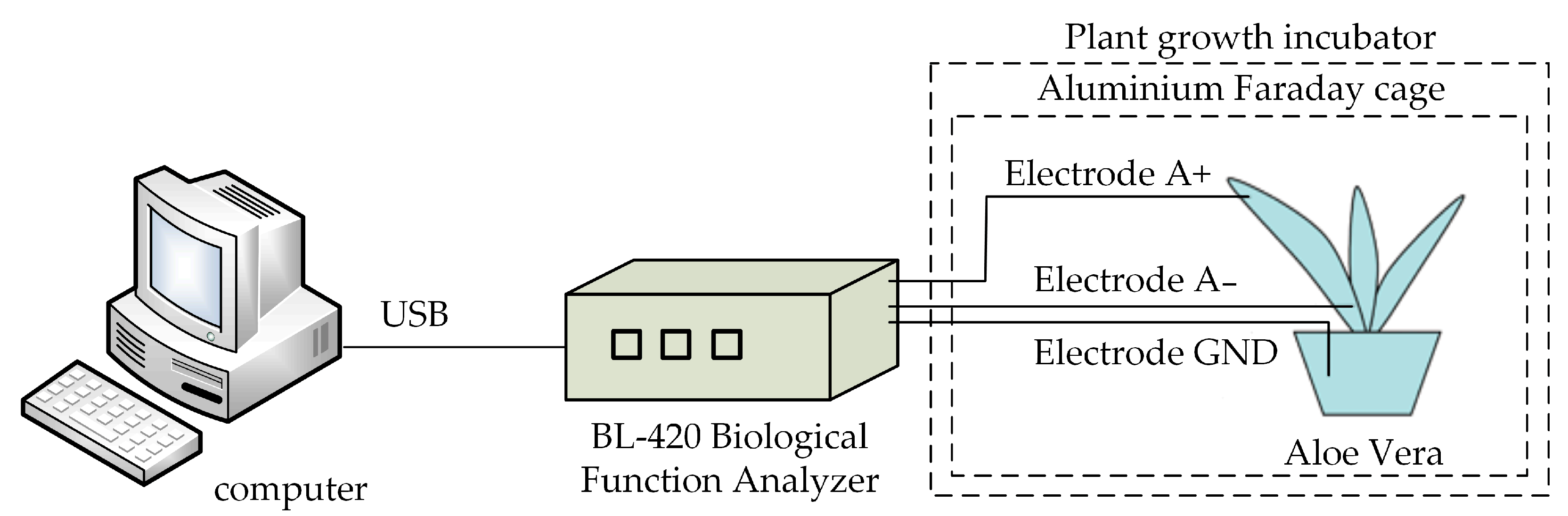 Applsci 15 11446 g001