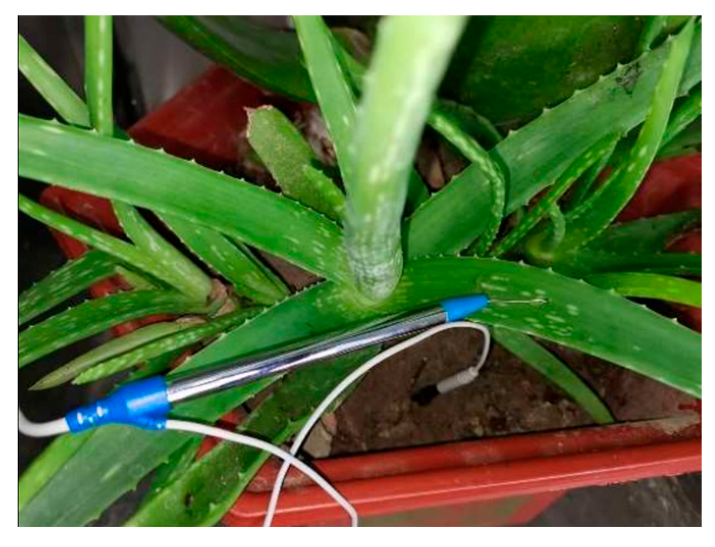 Applsci 15 11446 g002