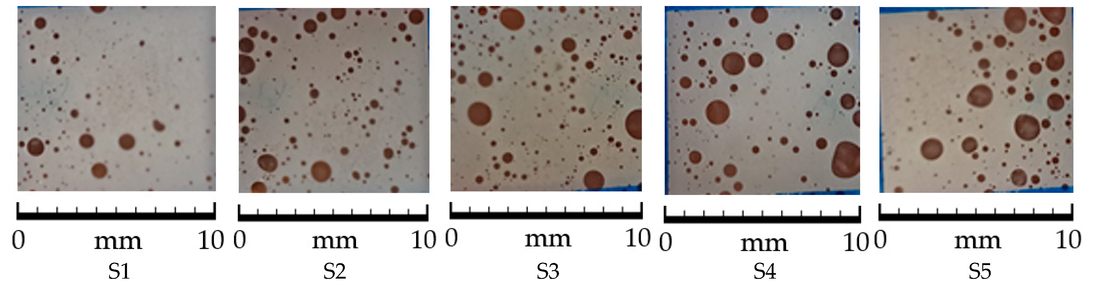 Applsci 15 11455 g001