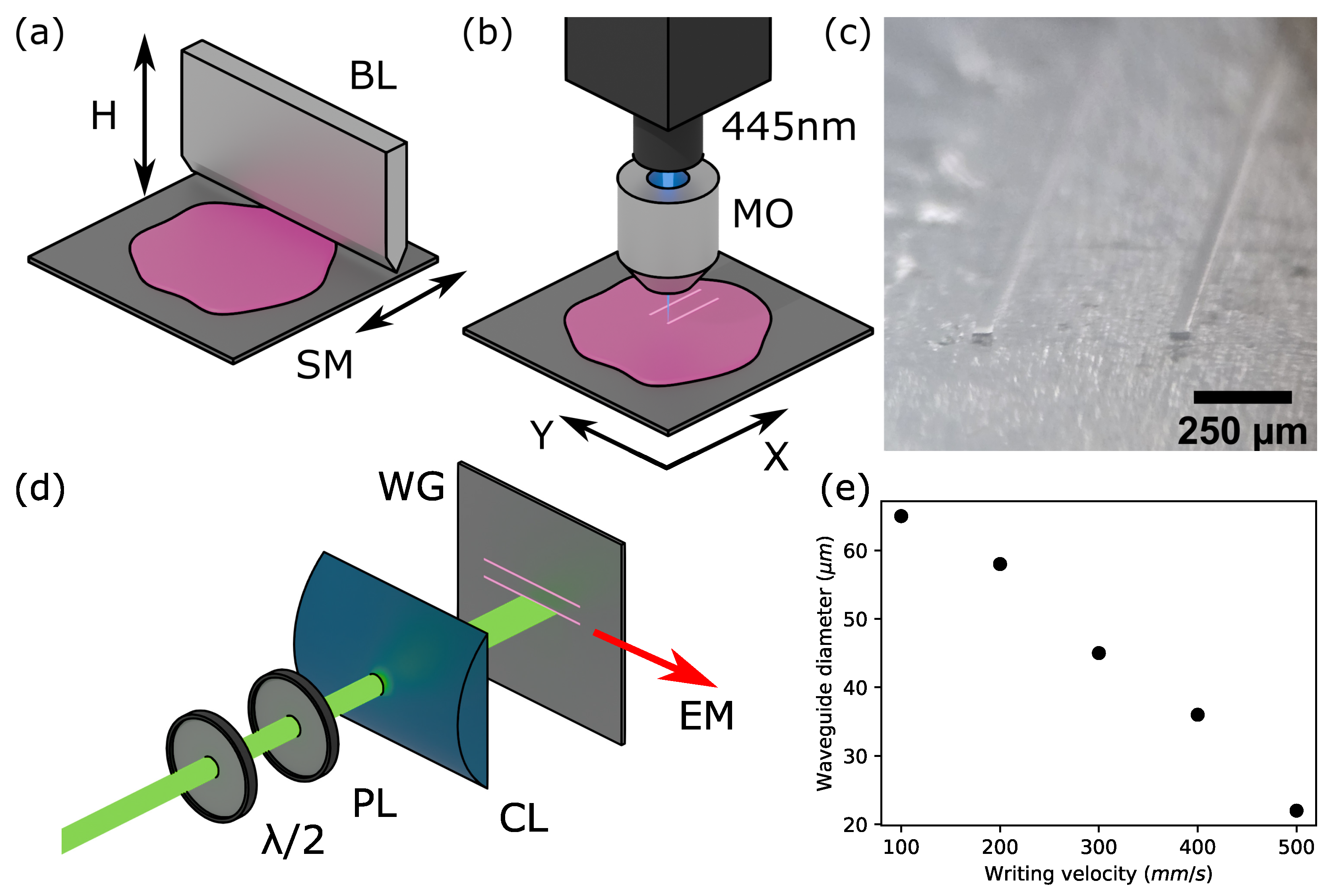 Applsci 15 11459 g001