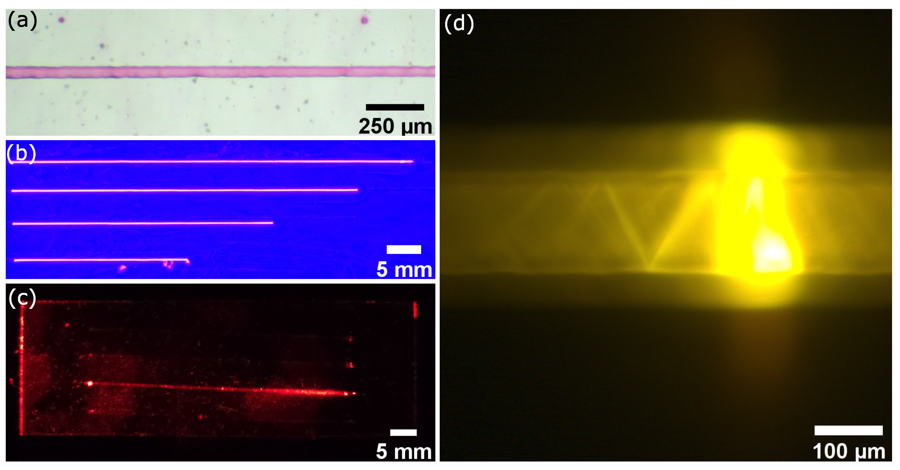 Applsci 15 11459 g002