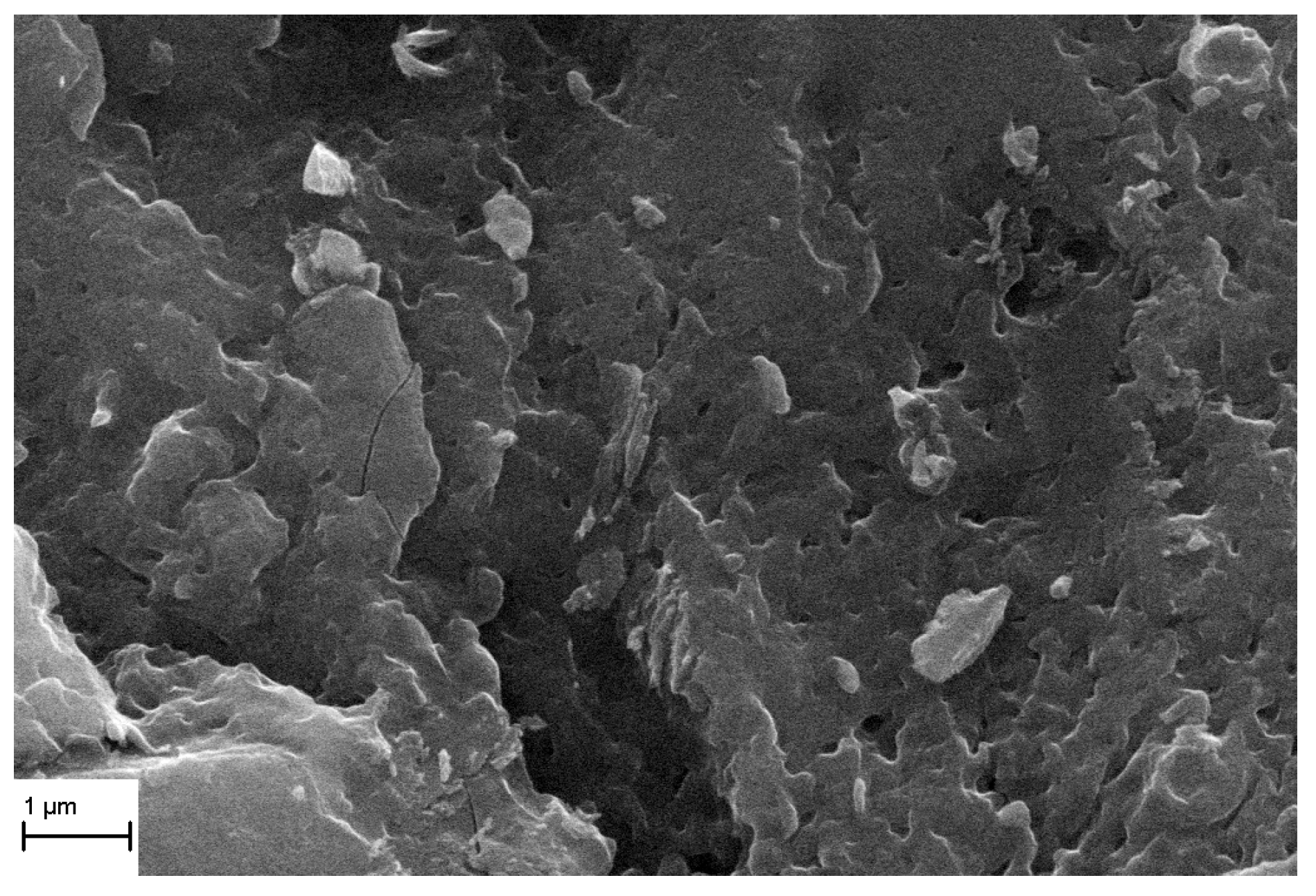 Applsci 15 11474 g004 Applsci 15 11474 g004