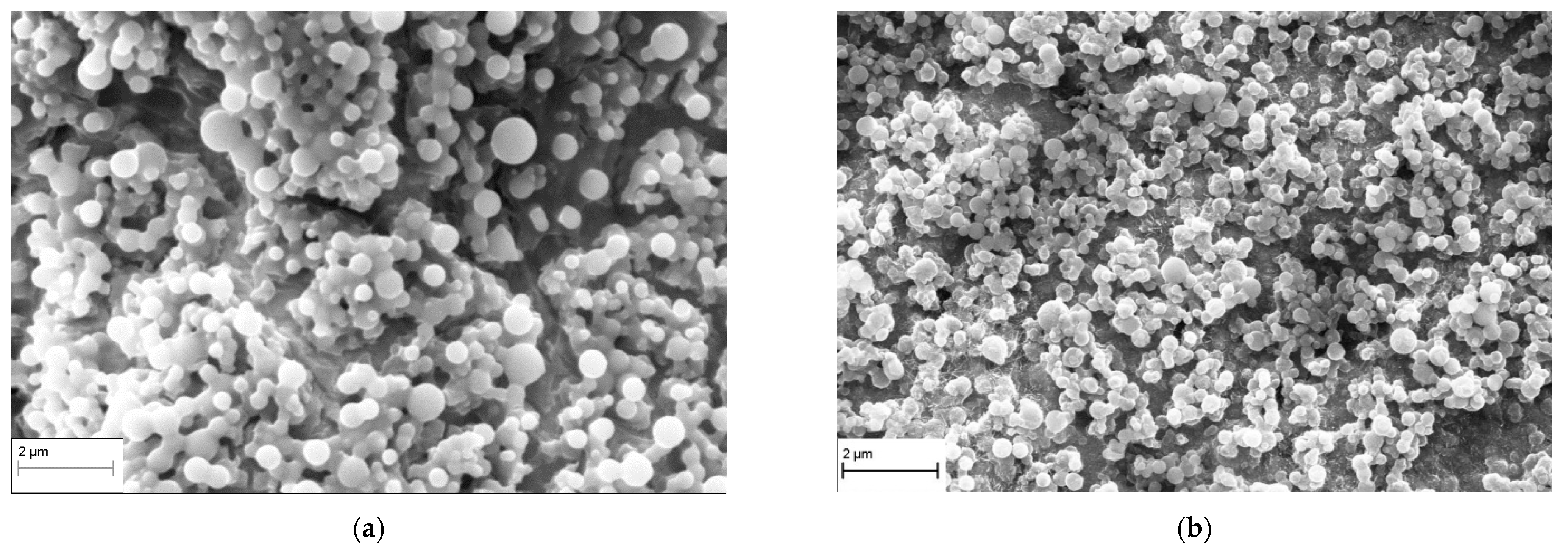 Applsci 15 11474 g006 Applsci 15 11474 g006