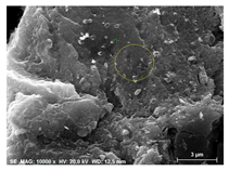 Applsci 15 11474 i001 Applsci 15 11474 i001