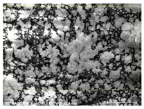 Applsci 15 11474 i002 Applsci 15 11474 i002