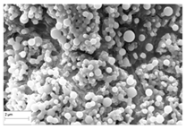 Applsci 15 11474 i003 Applsci 15 11474 i003