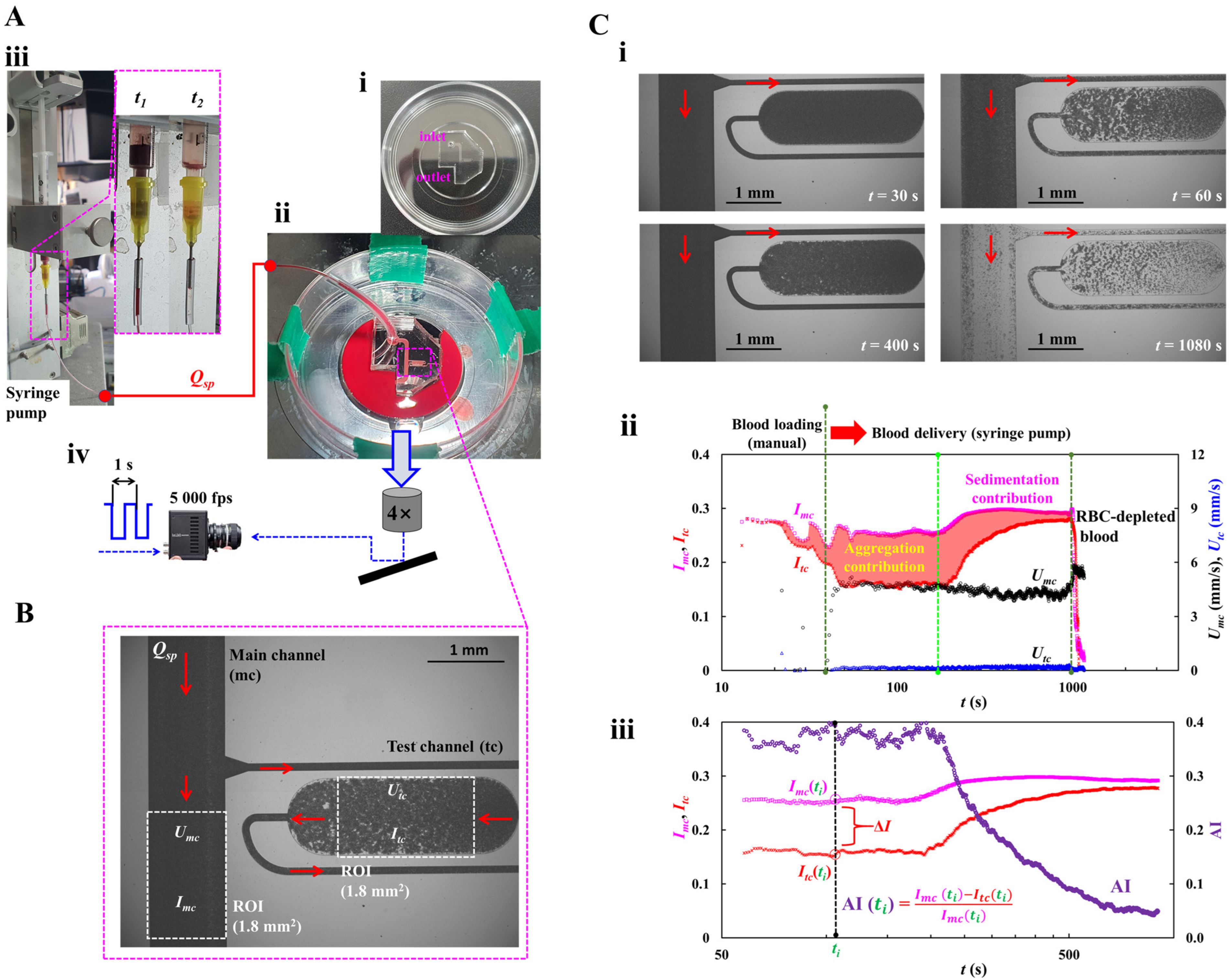 Applsci 15 11481 g001 Applsci 15 11481 g001