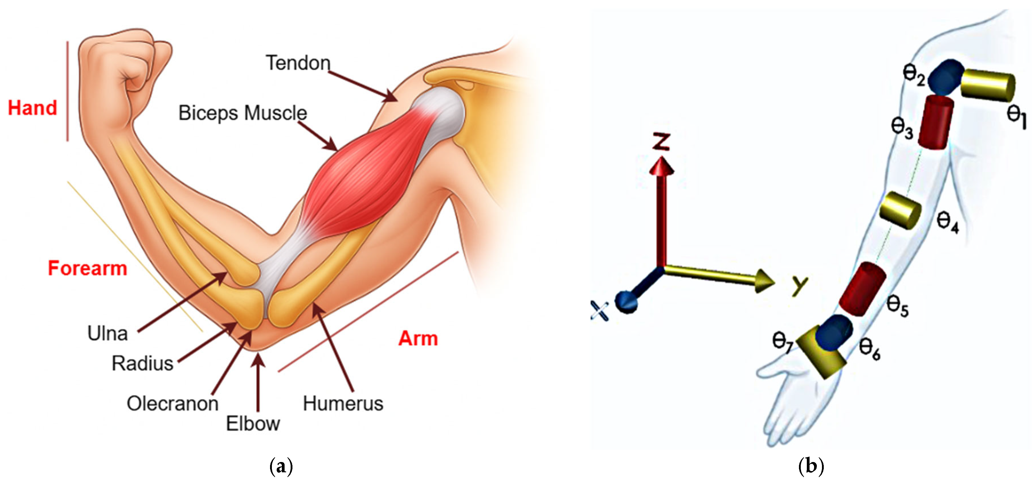 Applsci 15 11482 g001 Applsci 15 11482 g001