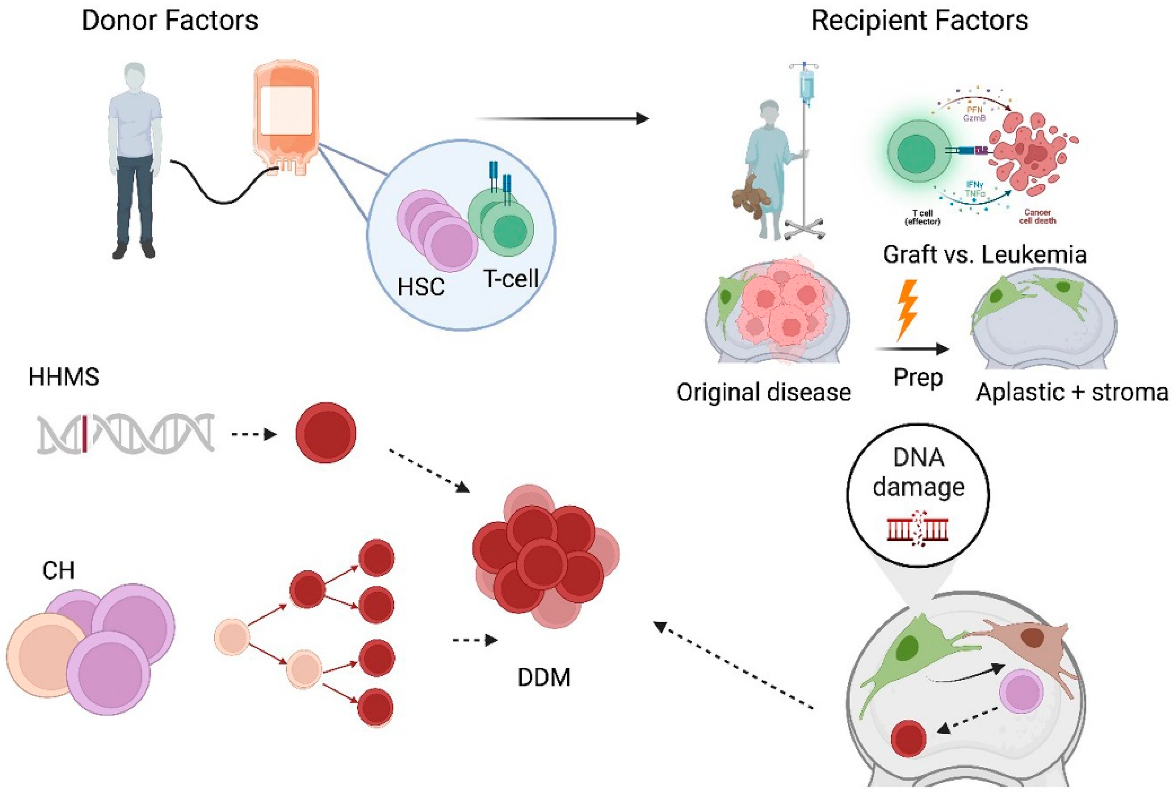Applsci 15 11500 g001