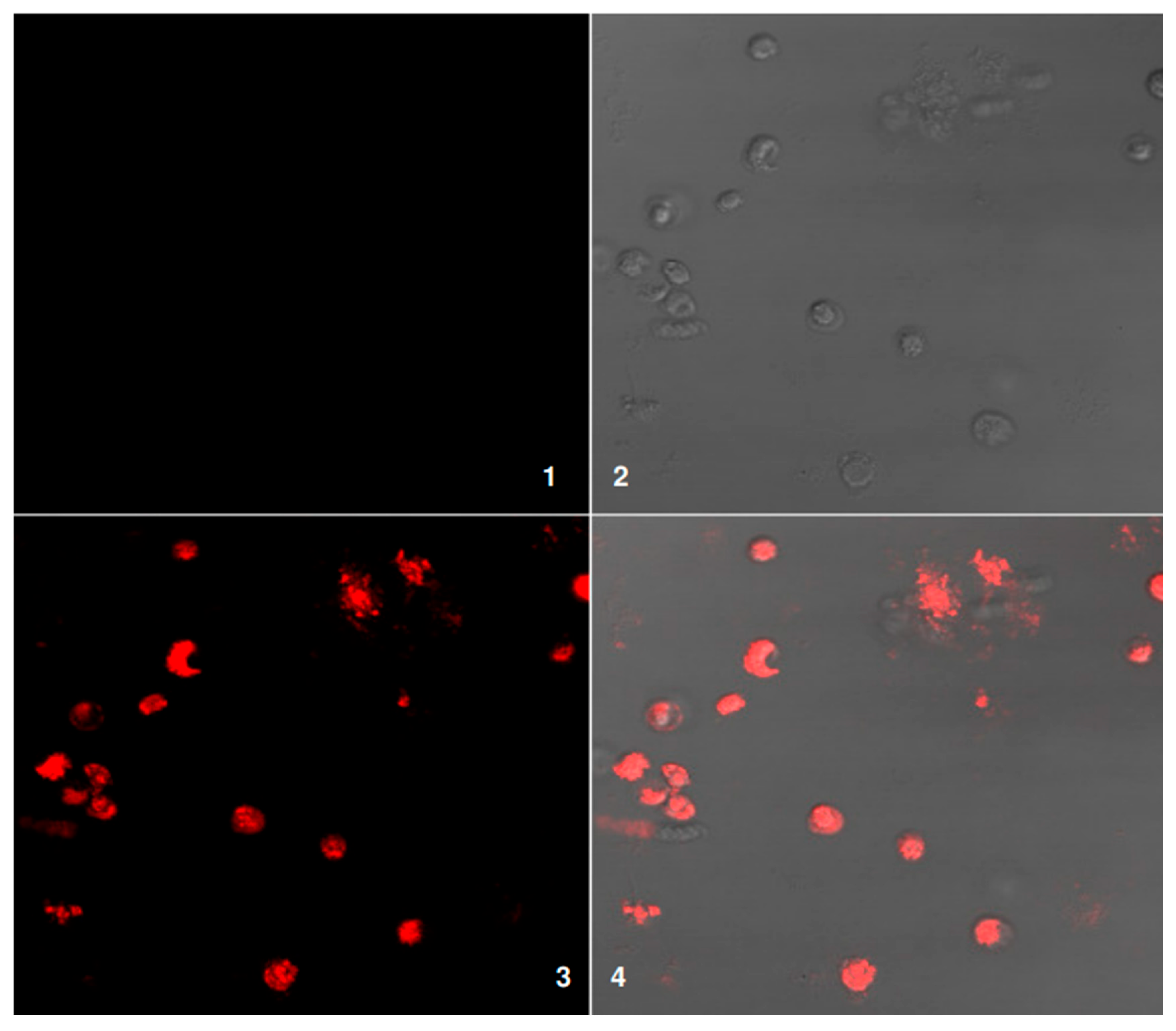Applsci 15 11500 g008