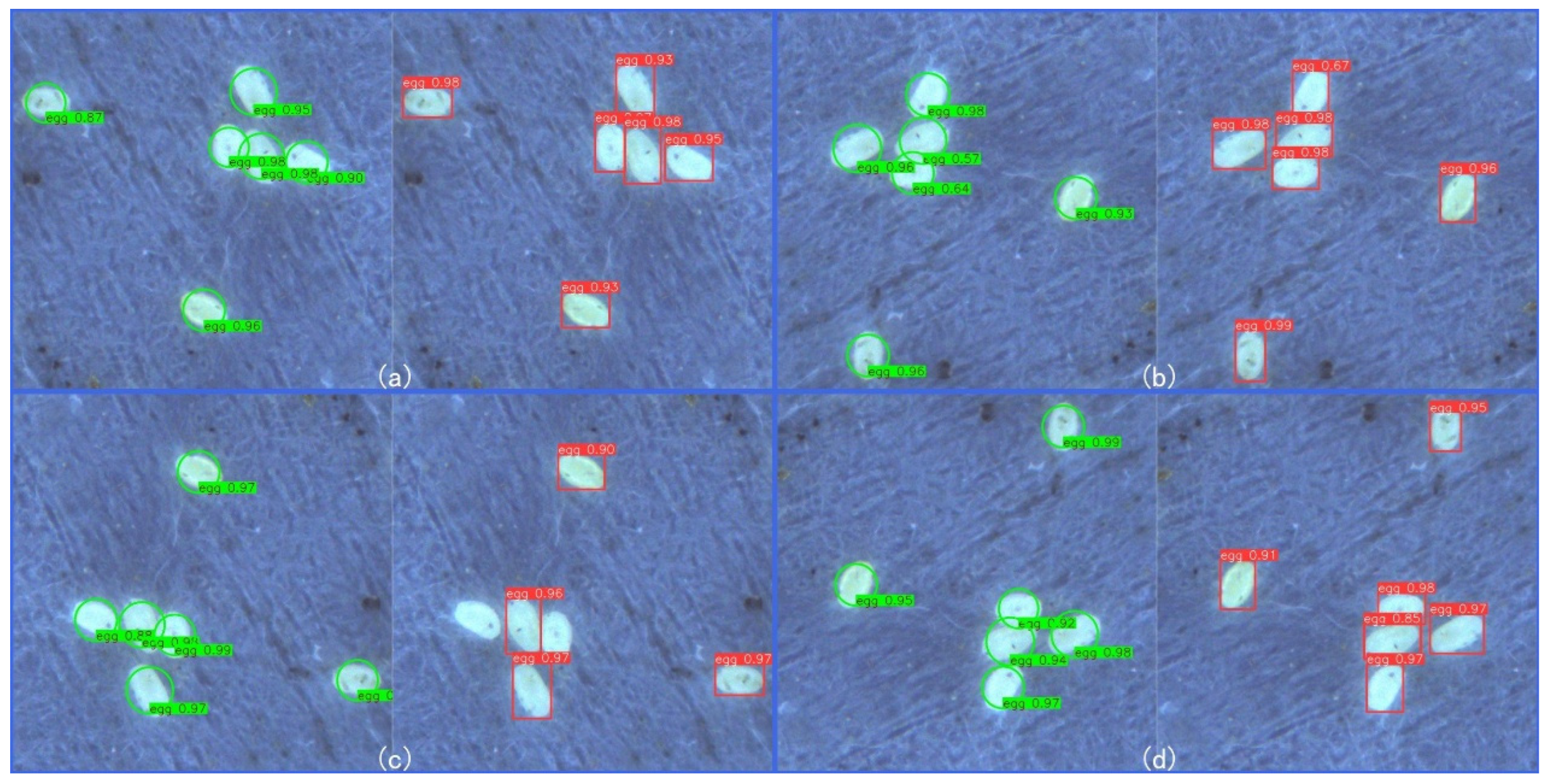 Applsci 15 11501 g006 Applsci 15 11501 g006