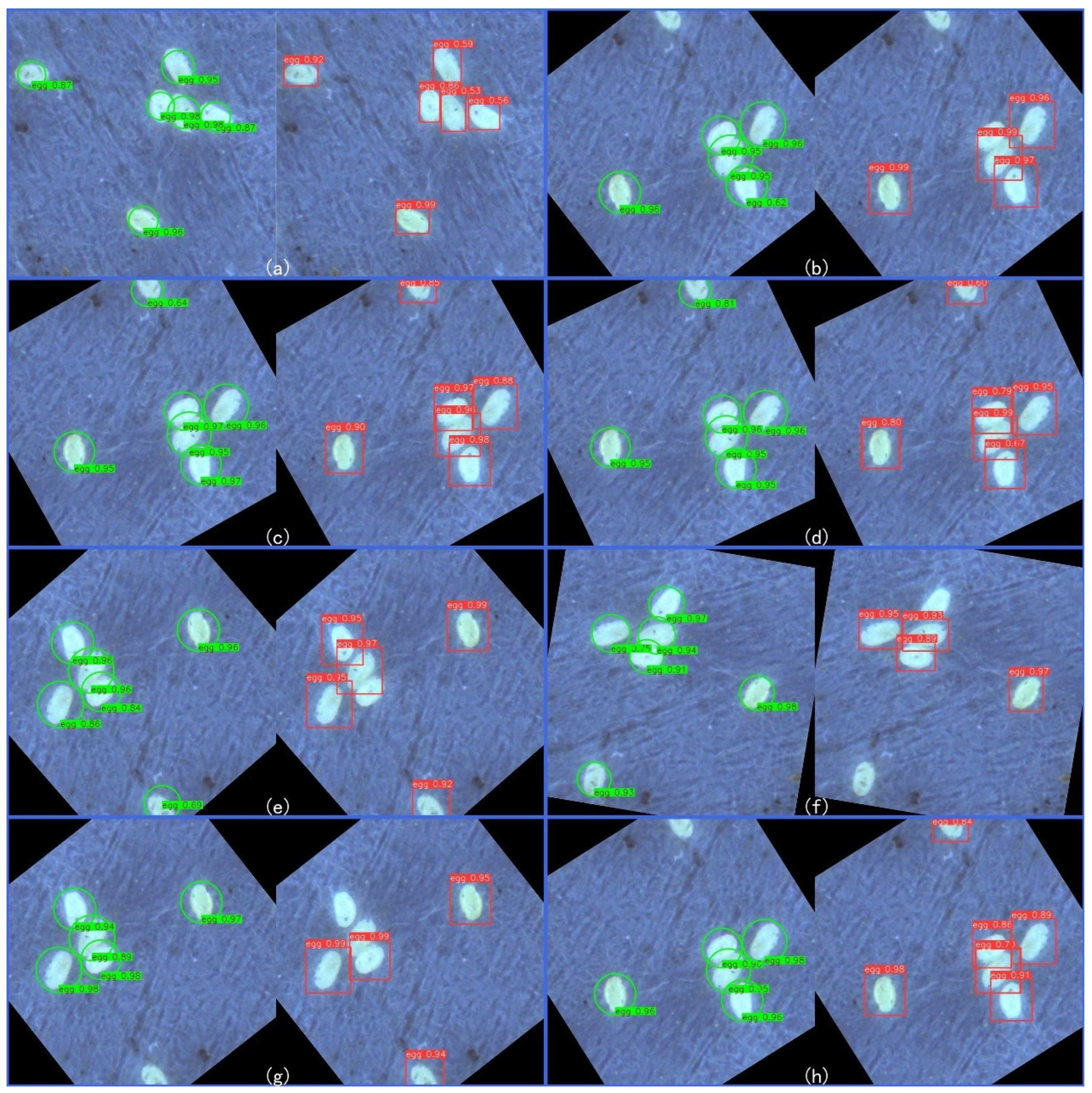 Applsci 15 11501 g007 Applsci 15 11501 g007