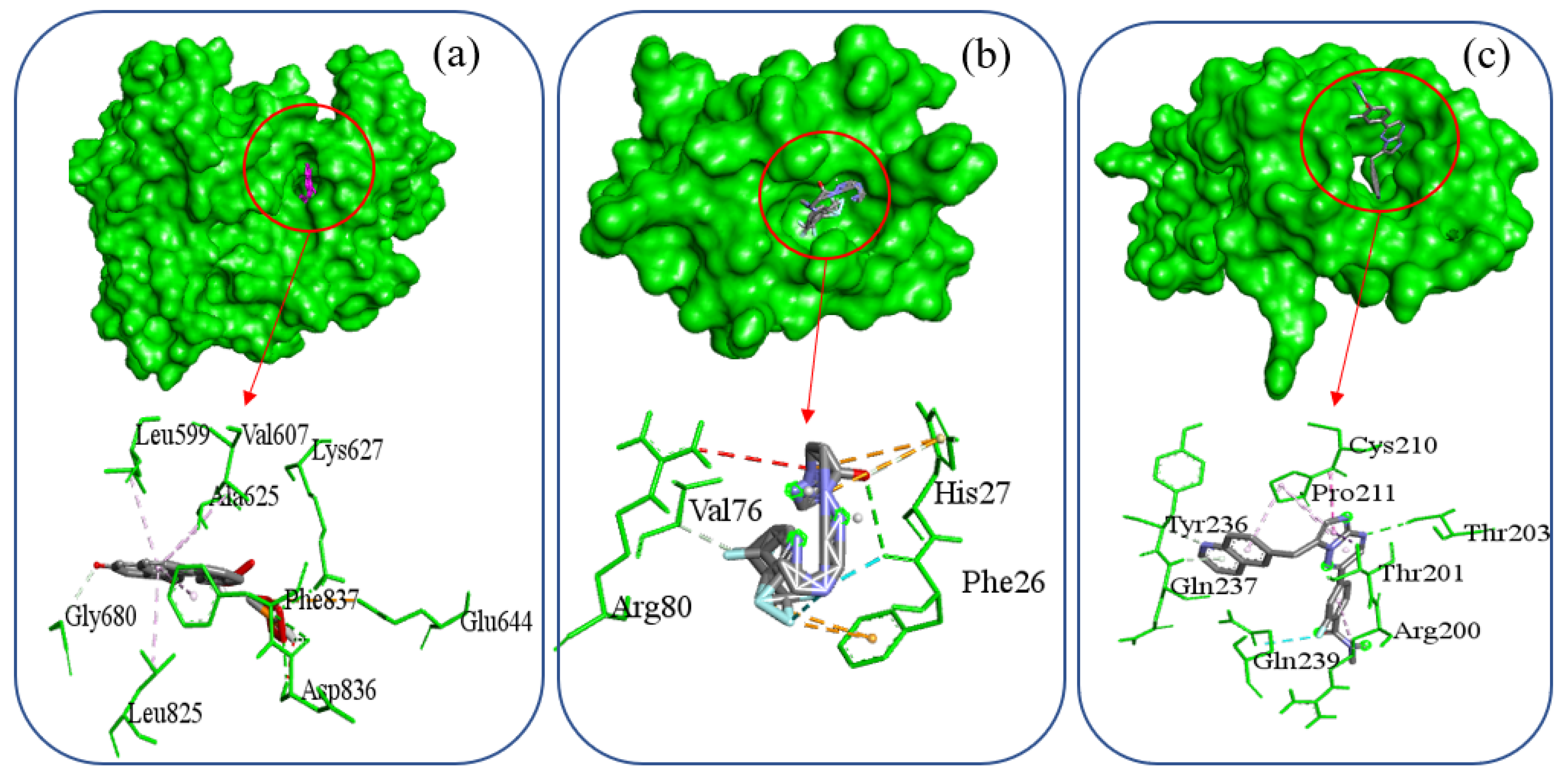 Applsci 15 11506 g012