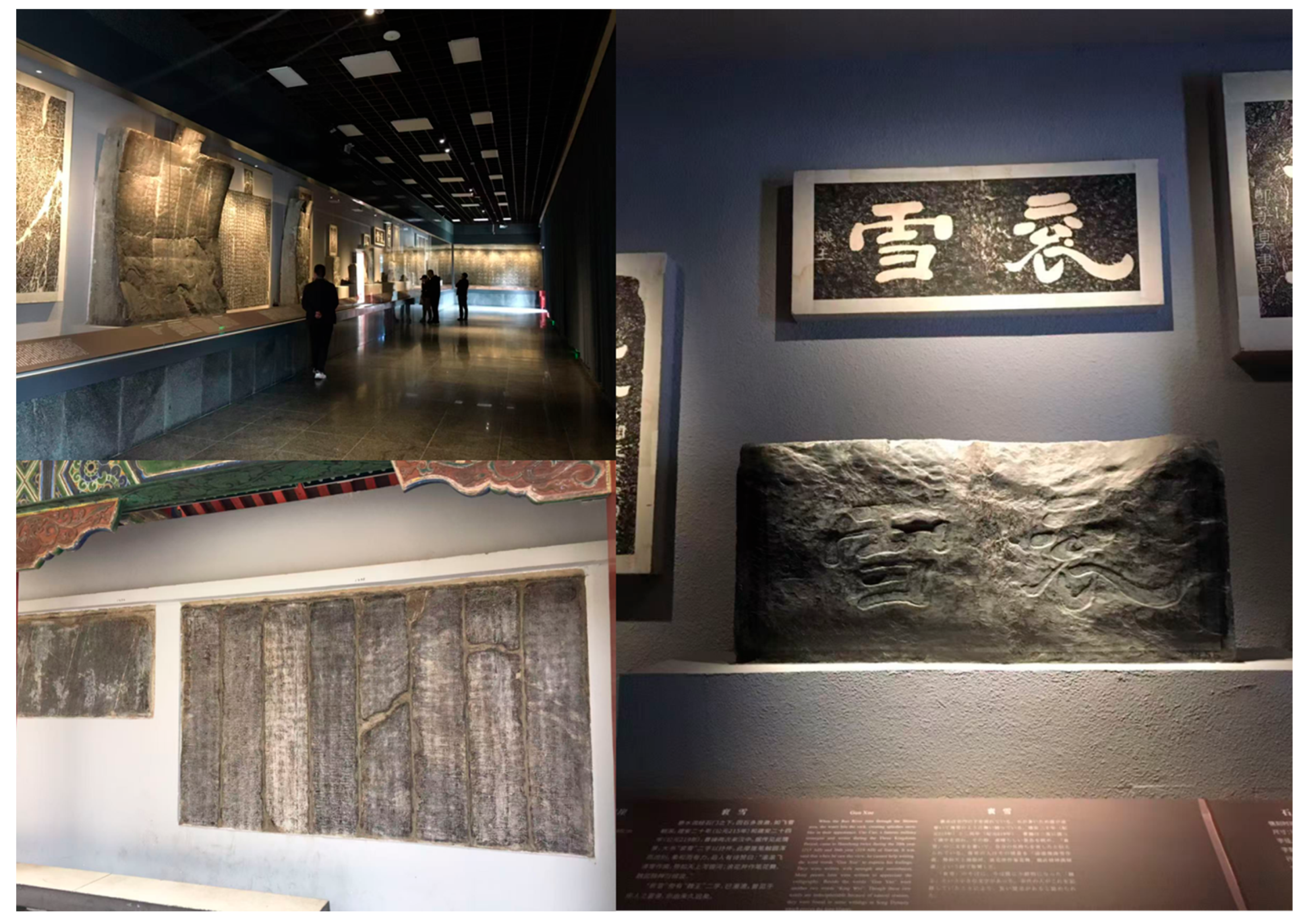 Applsci 15 11510 g001 Applsci 15 11510 g001