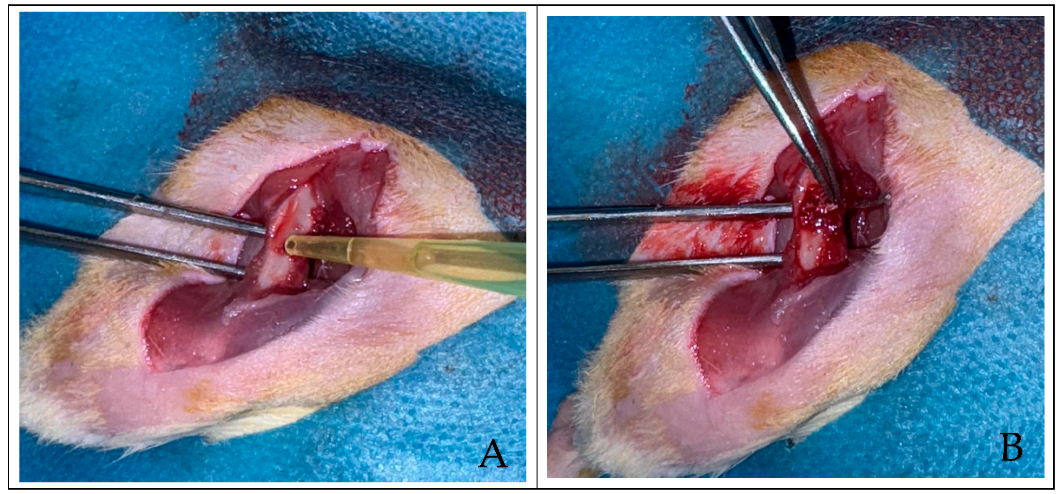 Applsci 15 11511 g001 Applsci 15 11511 g001