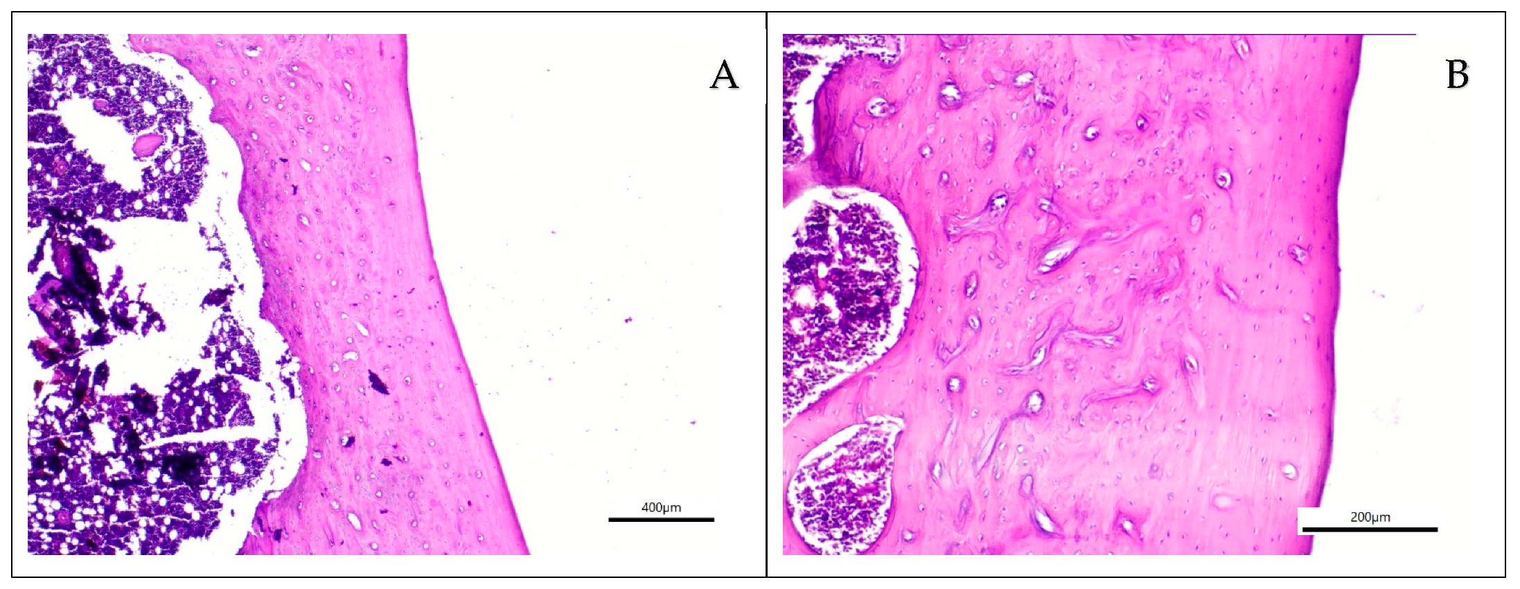 Applsci 15 11511 g002a Applsci 15 11511 g002a