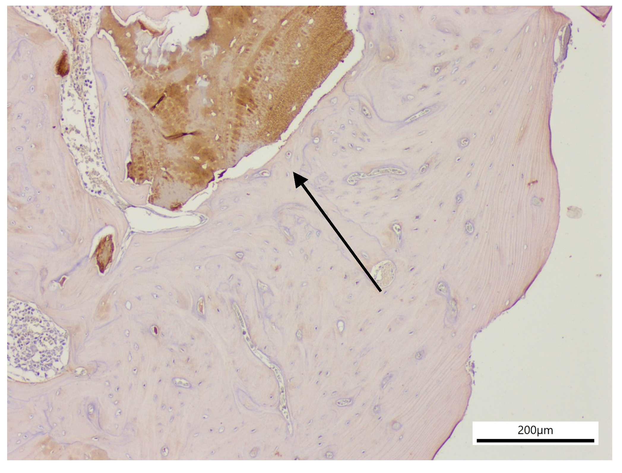 Applsci 15 11511 g003 Applsci 15 11511 g003