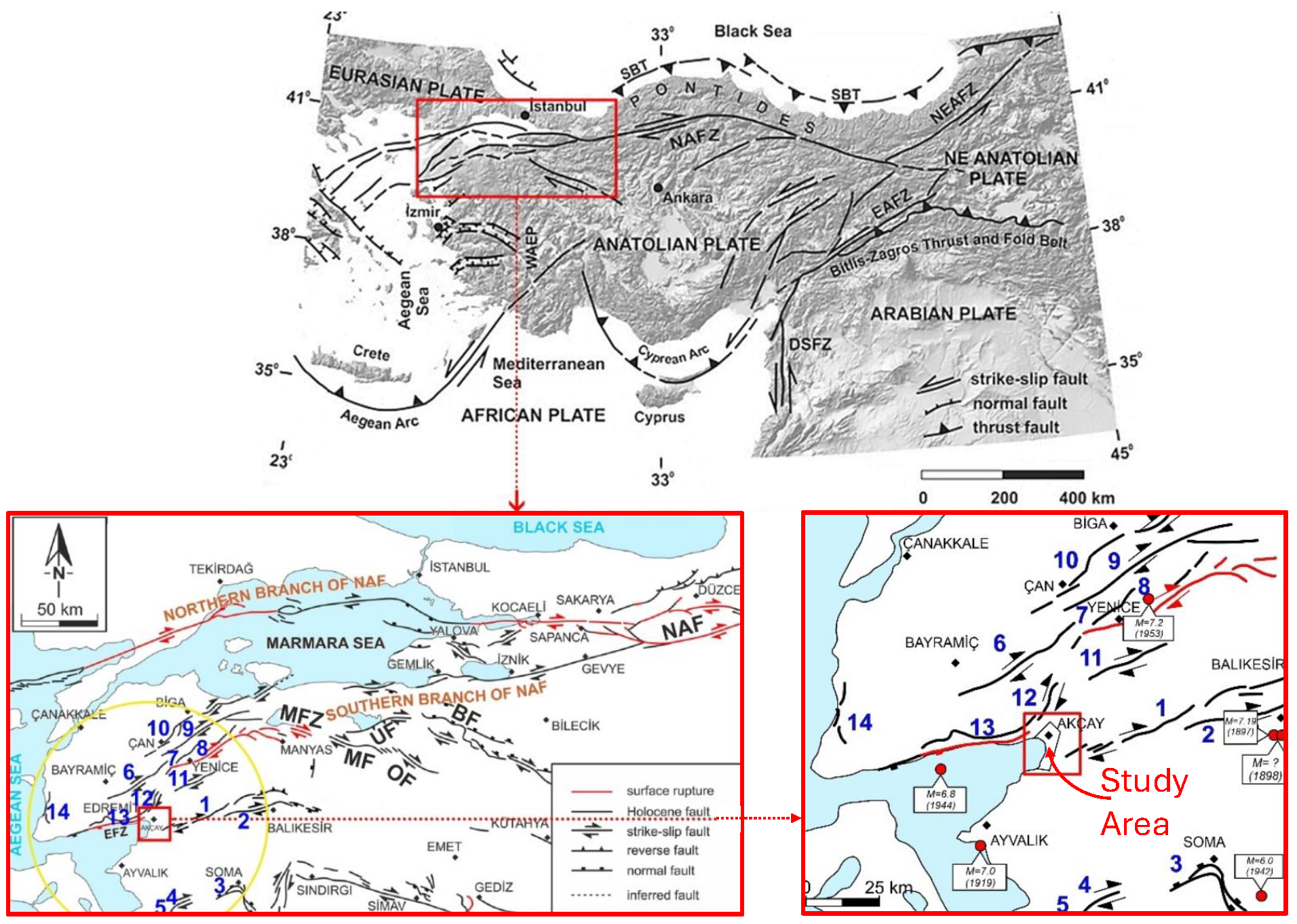 Applsci 15 11512 g001 Applsci 15 11512 g001