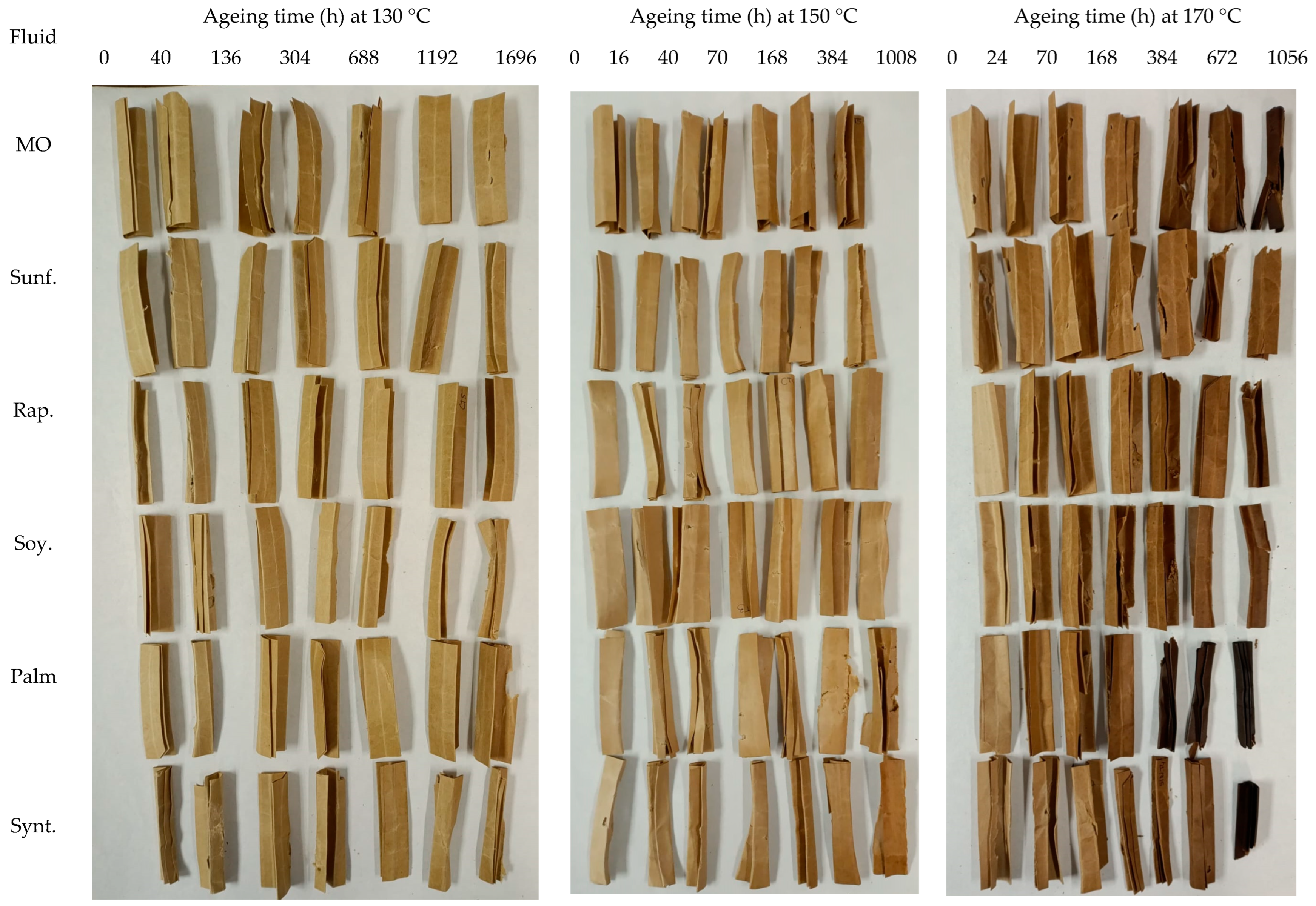 Applsci 15 11517 g0a1