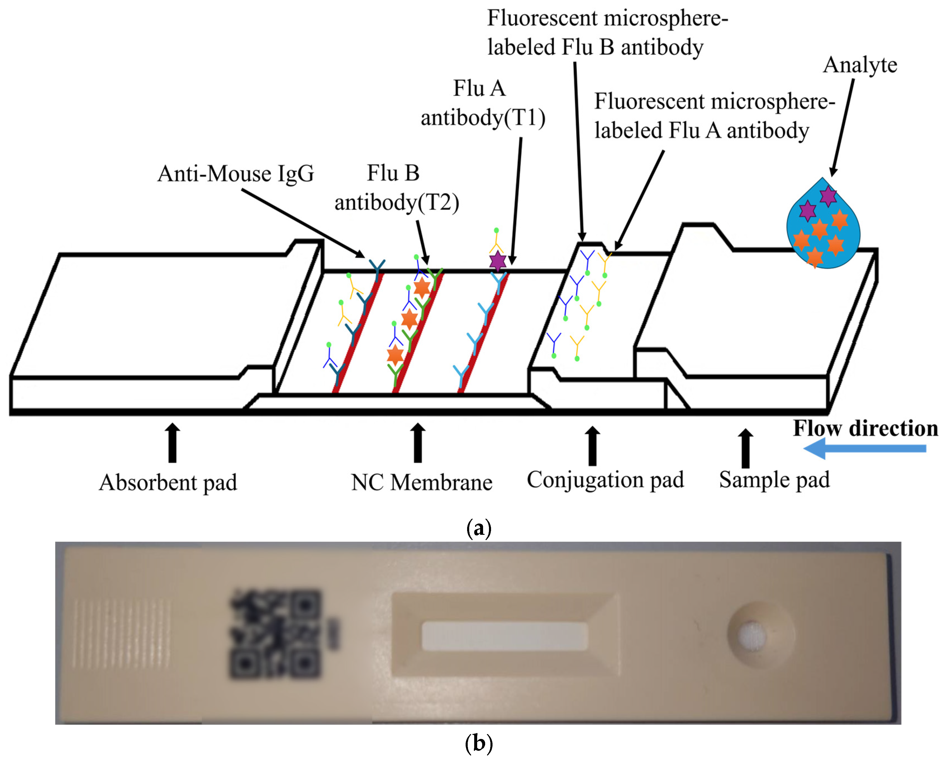 Applsci 15 11523 g001