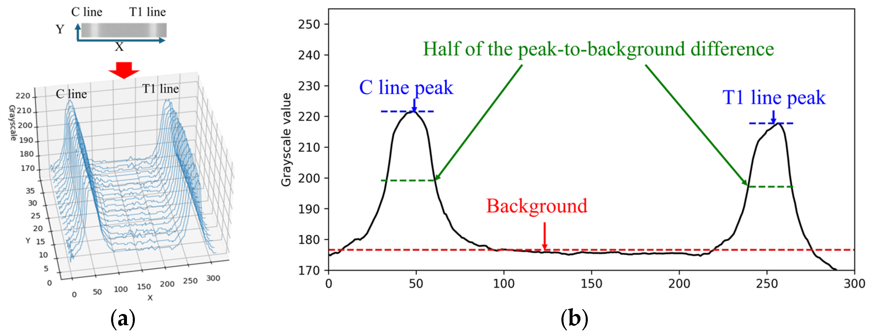 Applsci 15 11523 g005