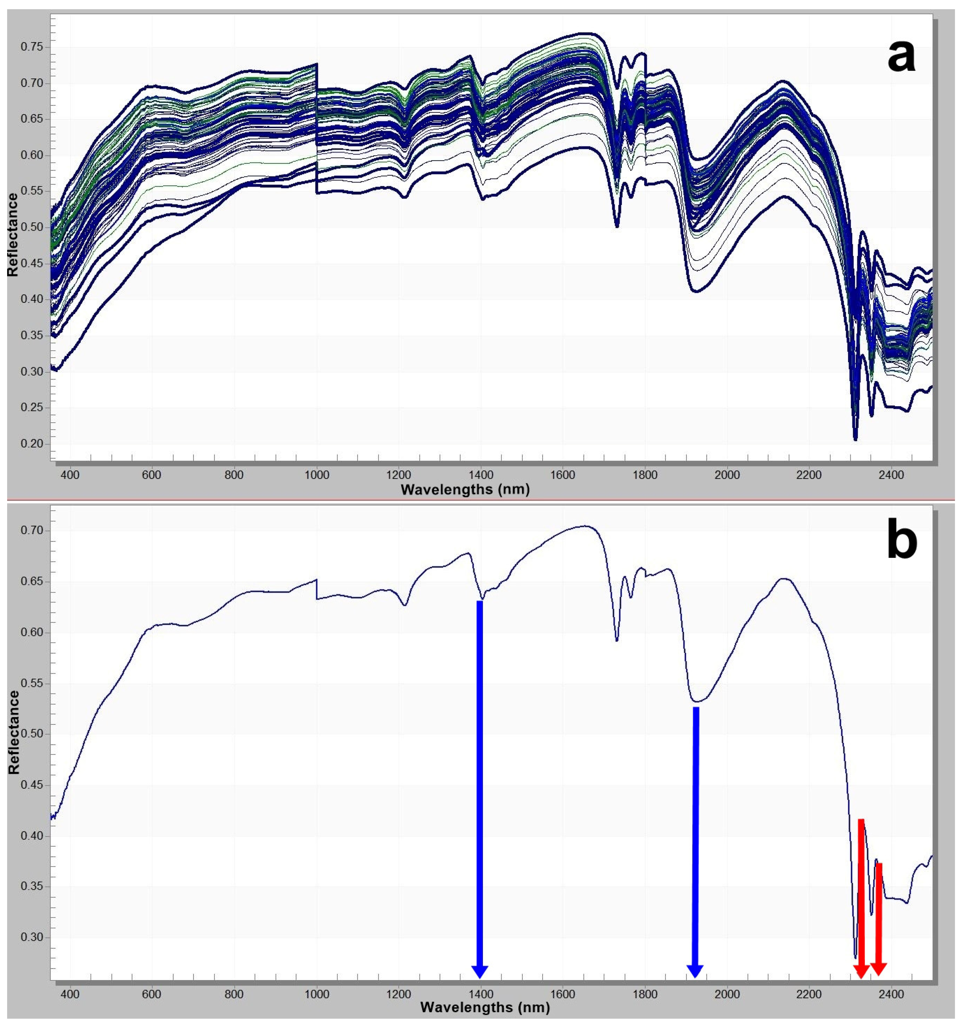 Applsci 15 11536 g004 Applsci 15 11536 g004