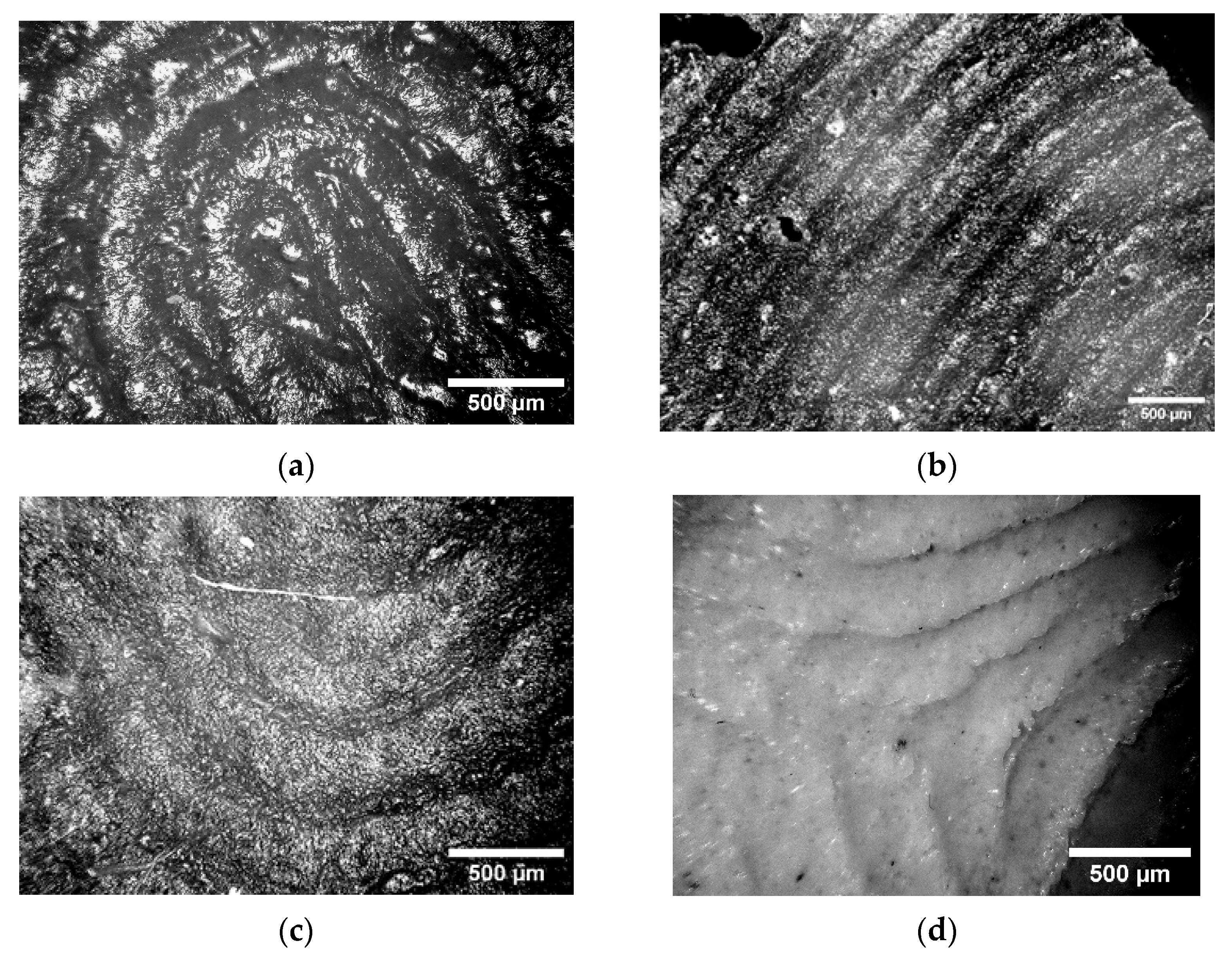 Applsci 15 11539 g004a