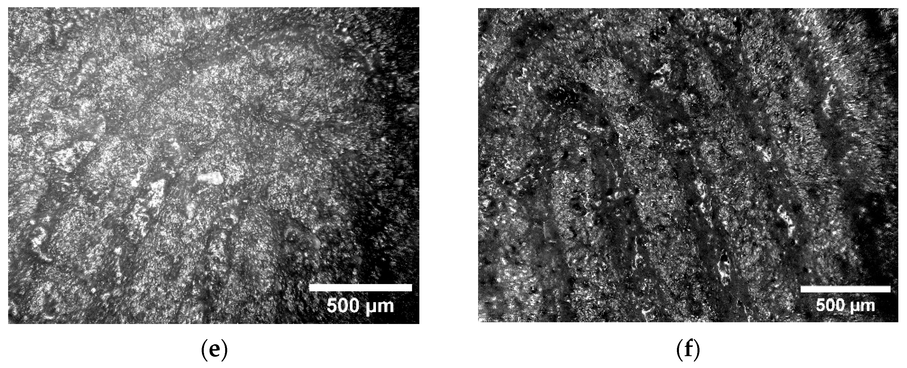 Applsci 15 11539 g004b