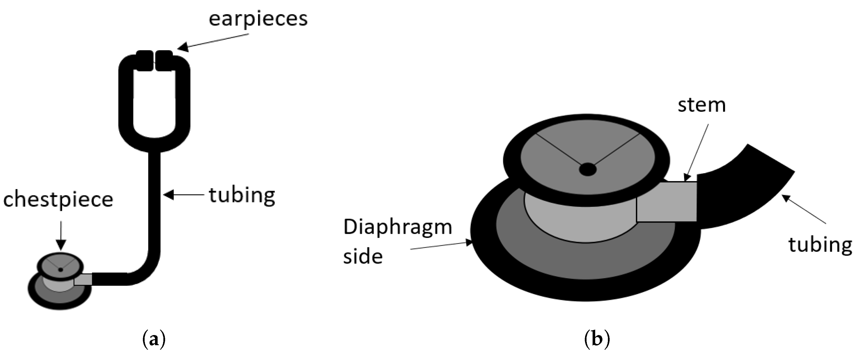 Applsci 15 11569 g001 Applsci 15 11569 g001