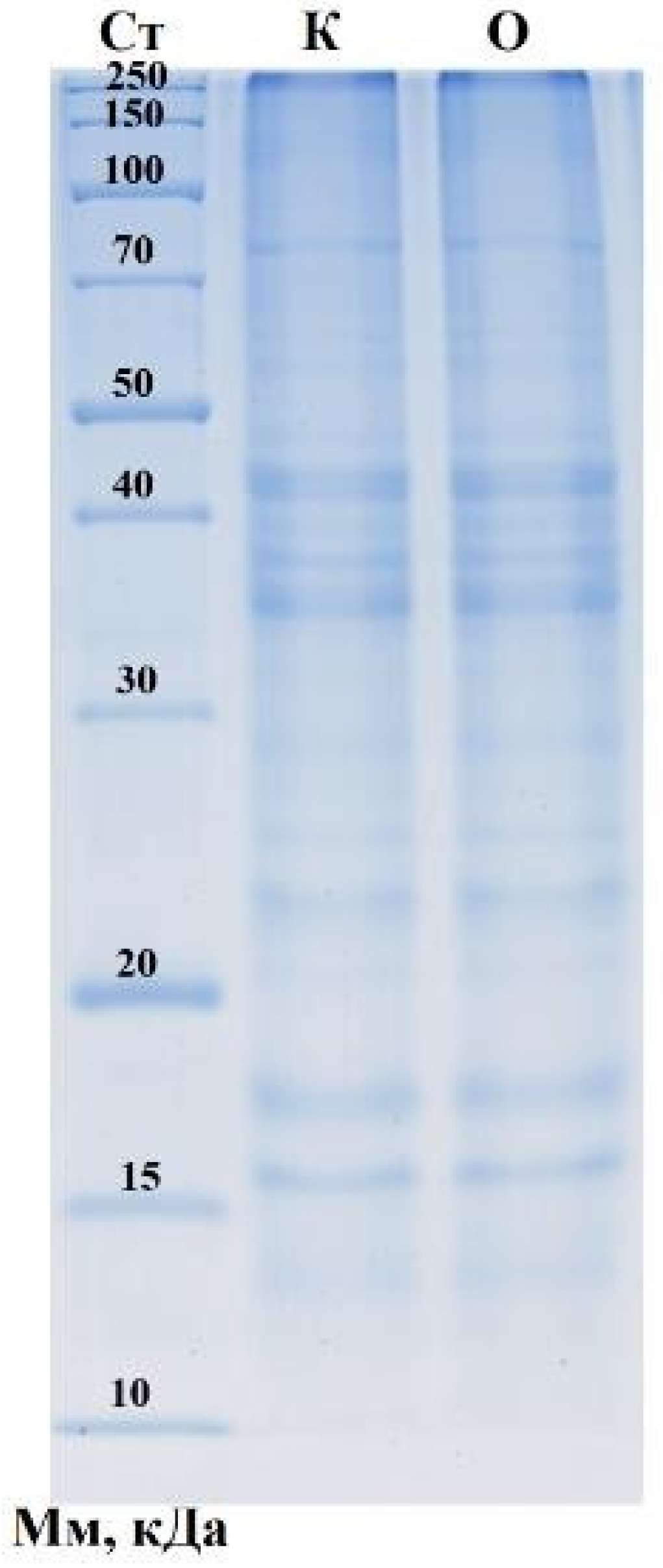 Applsci 15 11575 g001