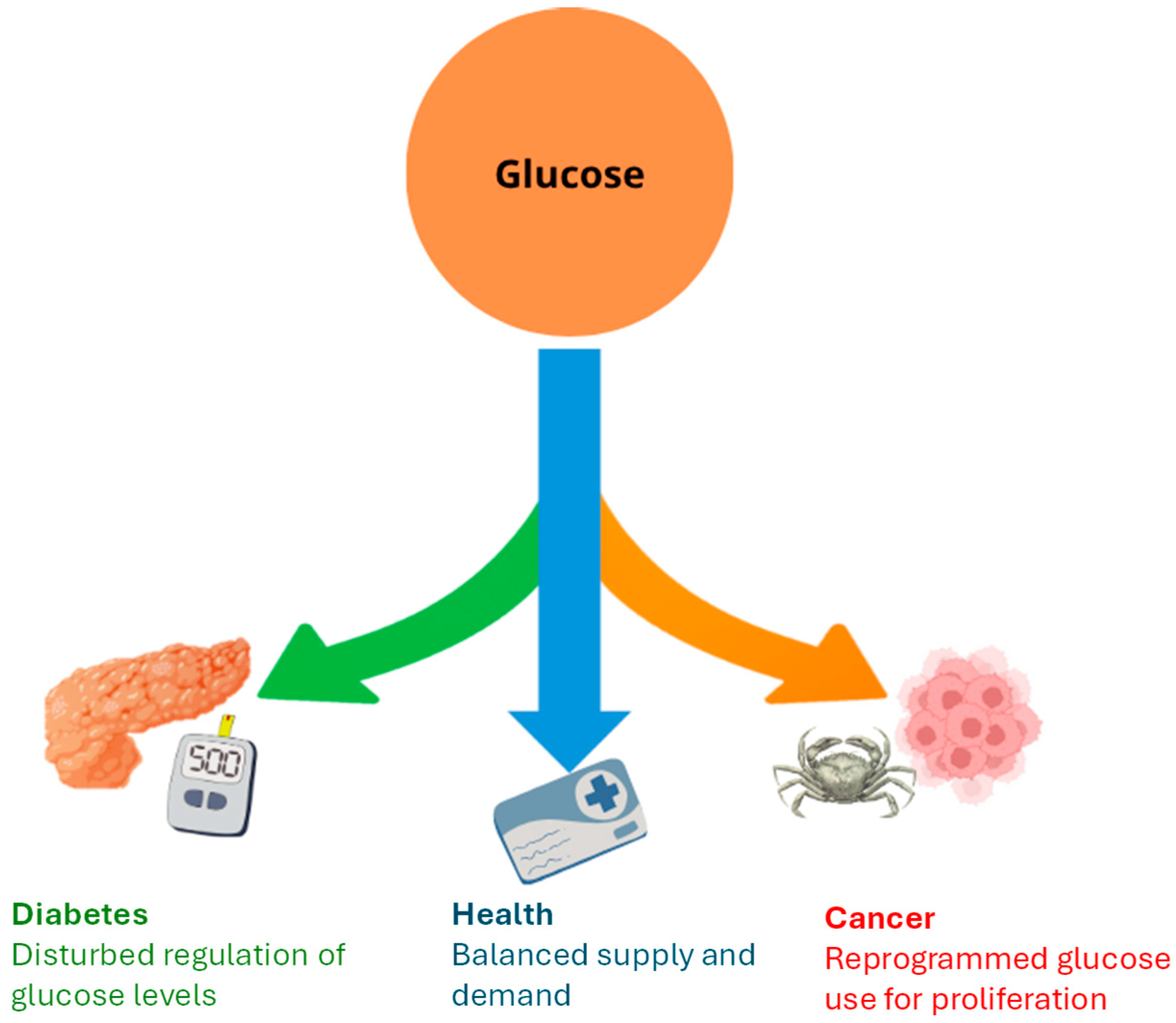 Applsci 15 11576 g001 Applsci 15 11576 g001