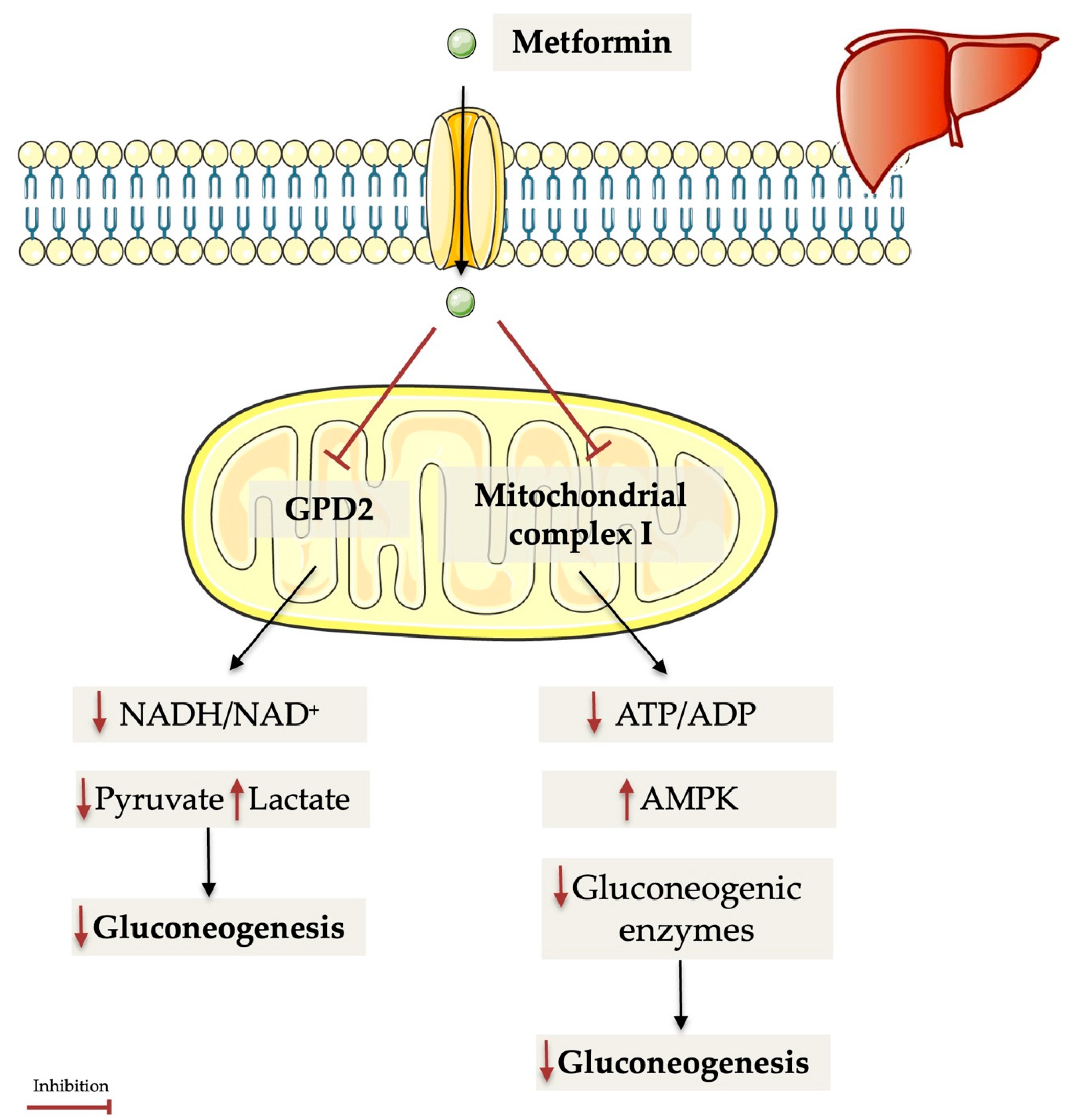 Applsci 15 11576 g002 Applsci 15 11576 g002
