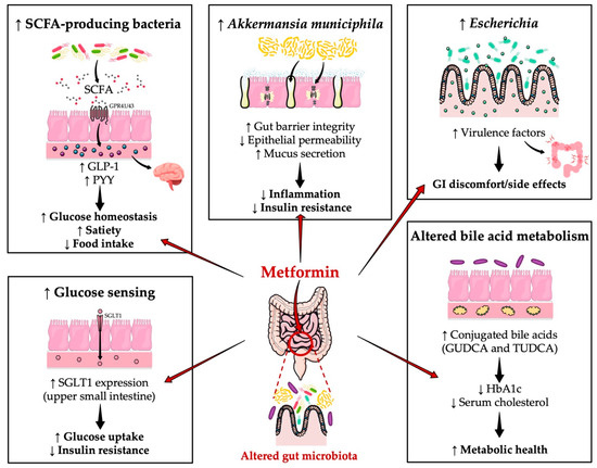 does glutathione give you gas What To Avoid When Taking Glutathione