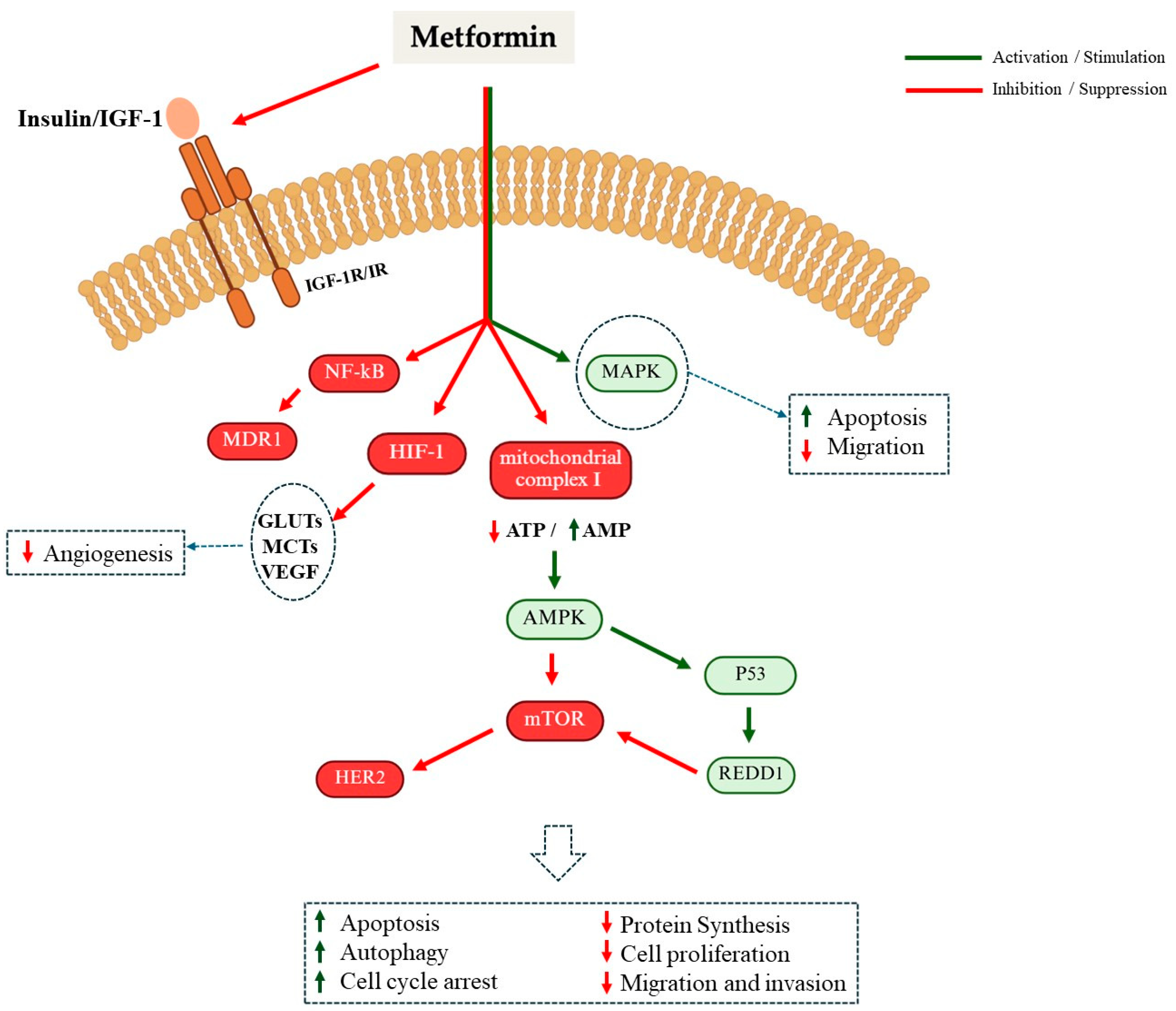 Applsci 15 11576 g004 Applsci 15 11576 g004