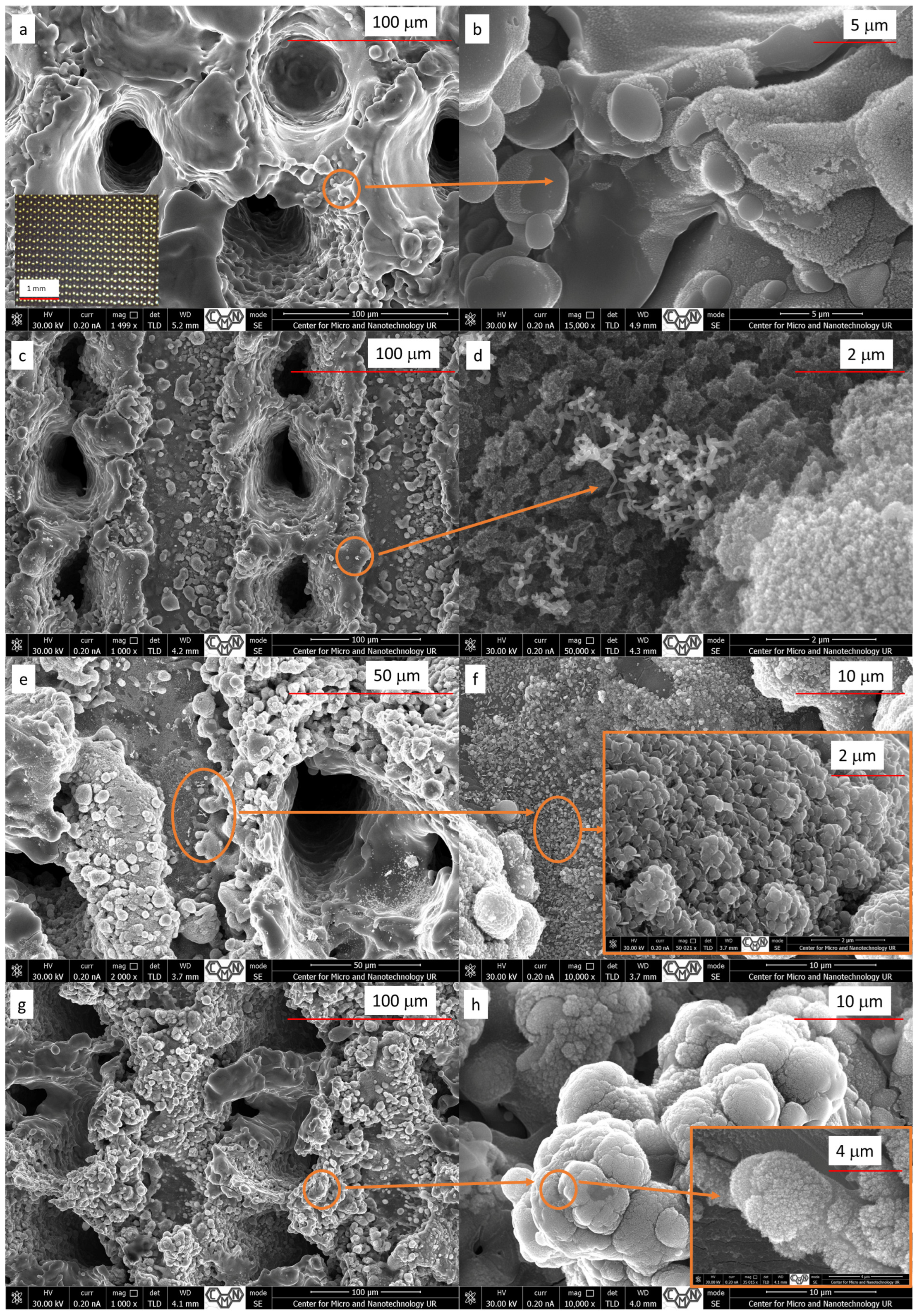 Applsci 15 11579 g003 Applsci 15 11579 g003