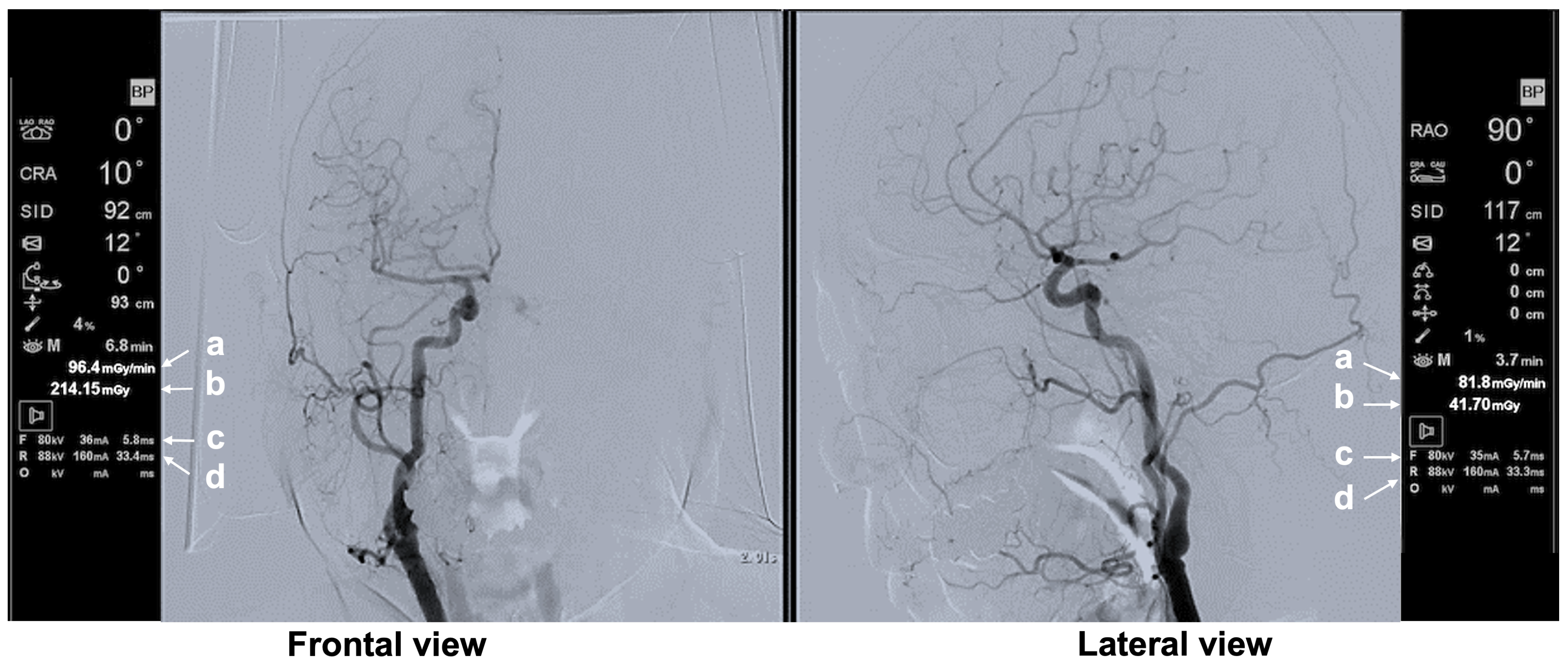 Applsci 15 11584 g004 Applsci 15 11584 g004