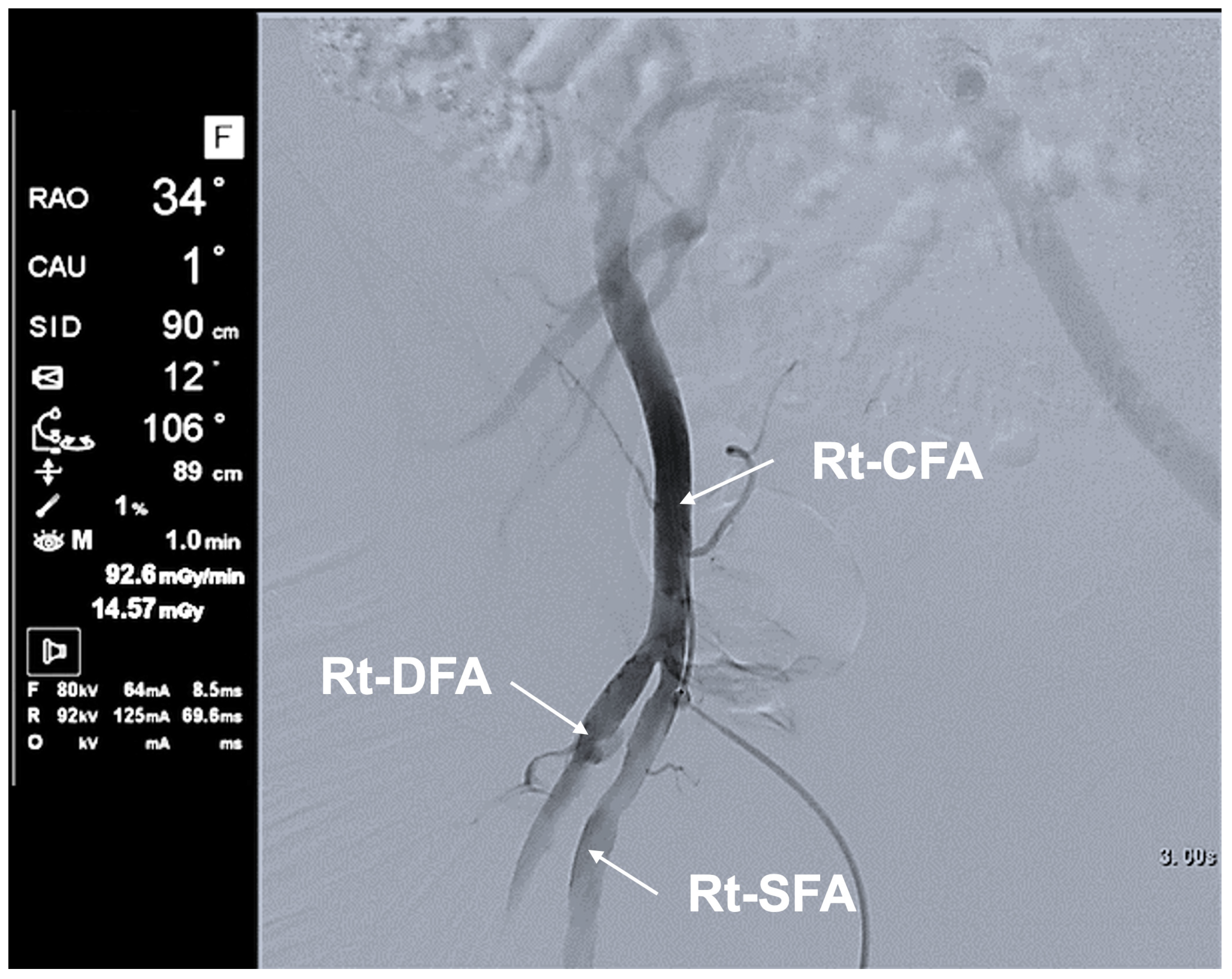 Applsci 15 11584 g012 Applsci 15 11584 g012