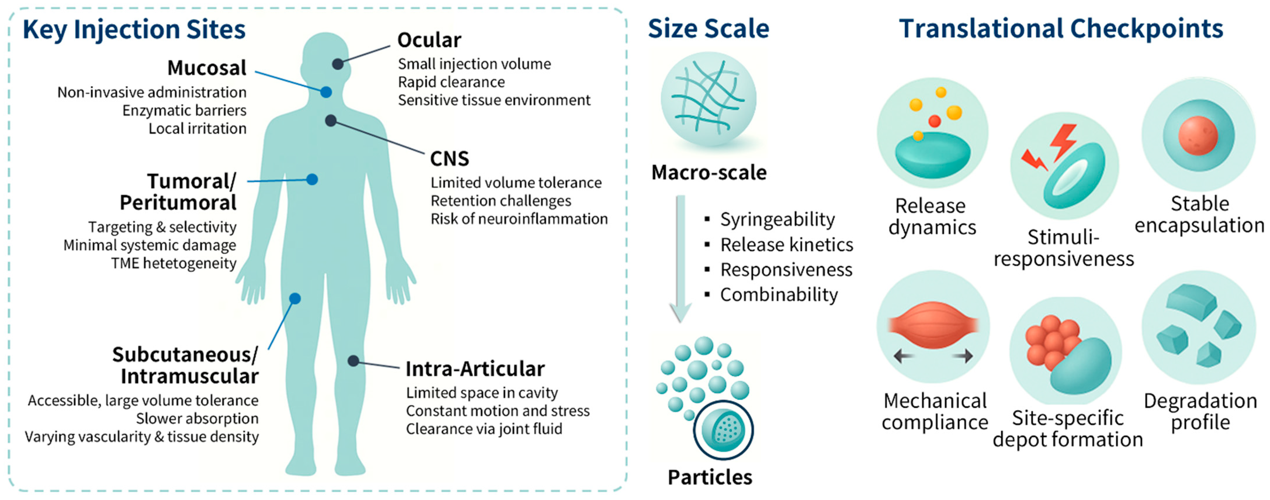 Applsci 15 11599 g001 Applsci 15 11599 g001