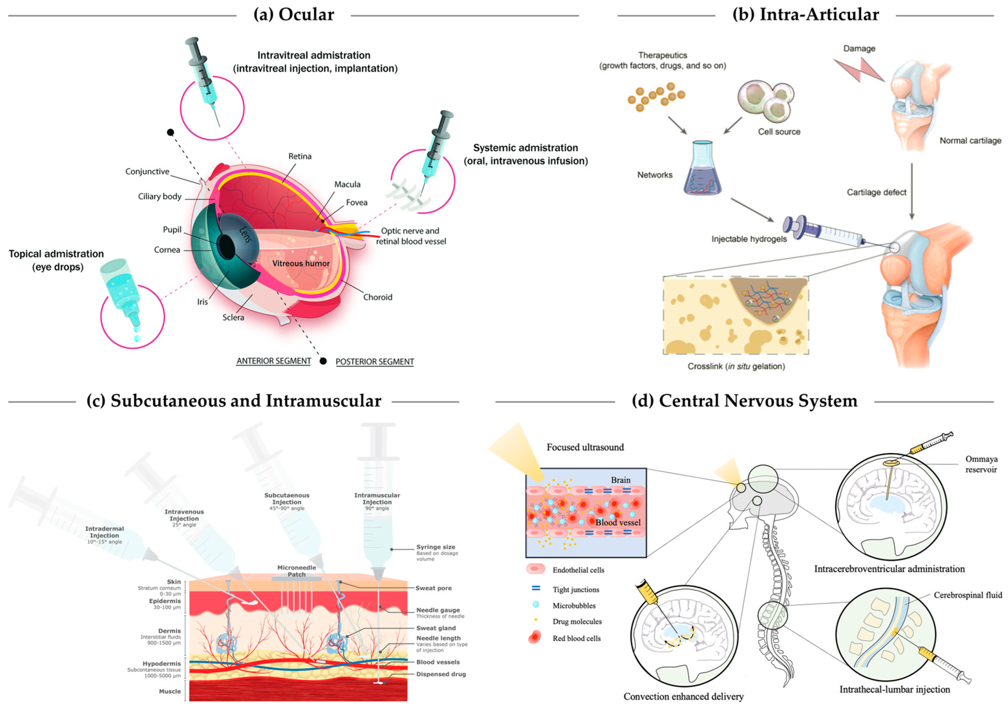 Applsci 15 11599 g002 Applsci 15 11599 g002